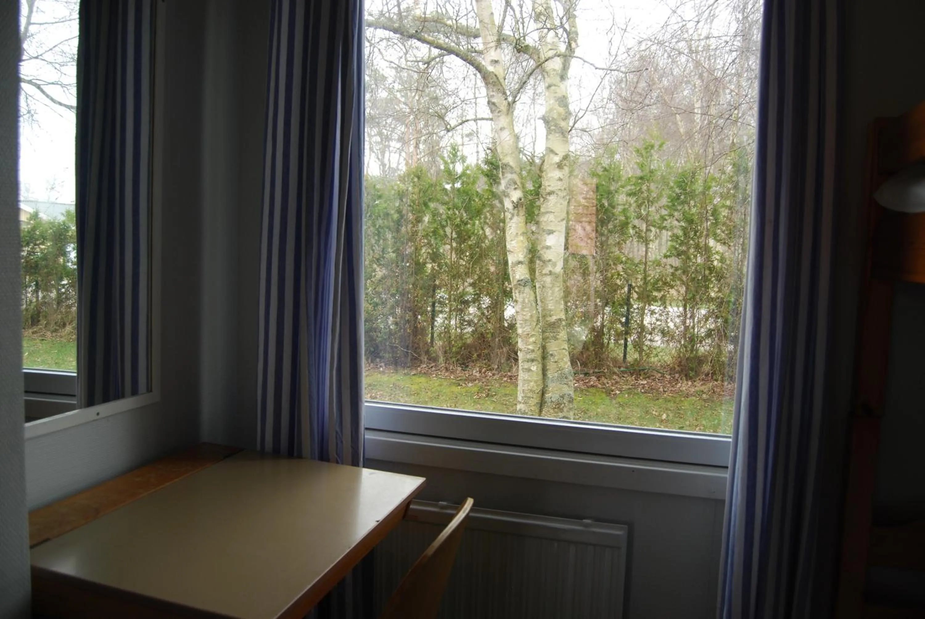 Garden view in Mellbystrand Vandrarhem