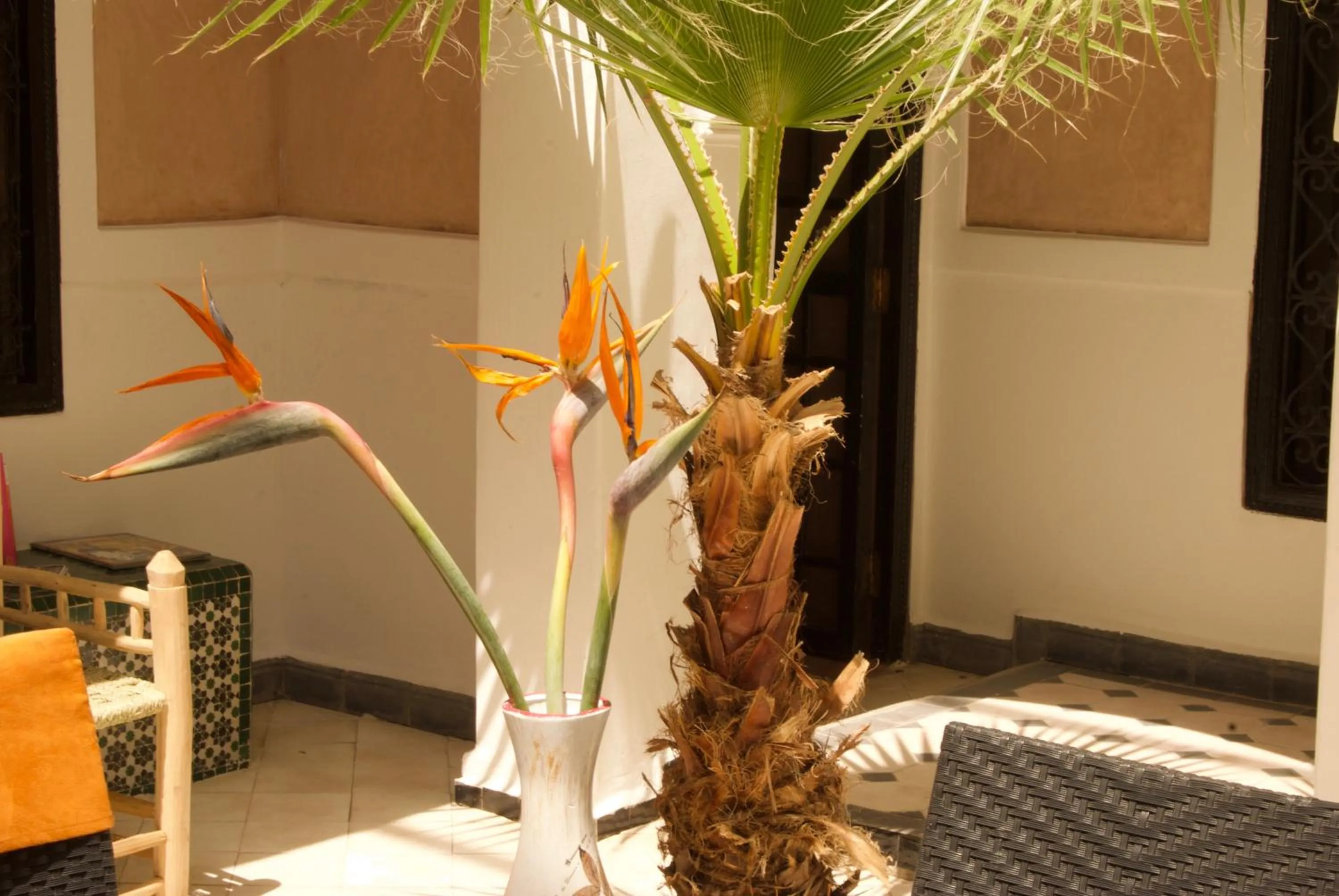 Patio in Riad Rockech