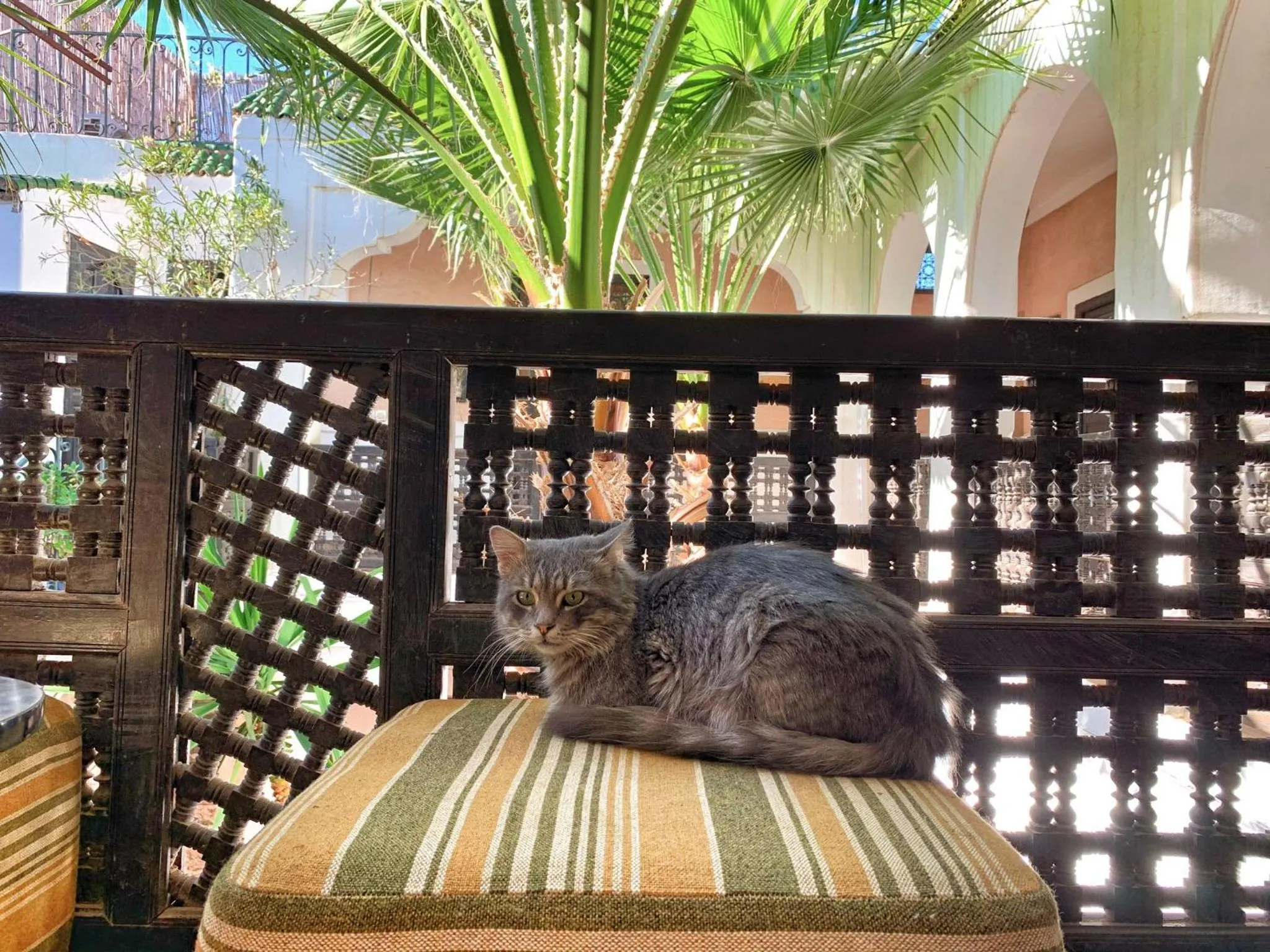 Living room in Riad Rockech