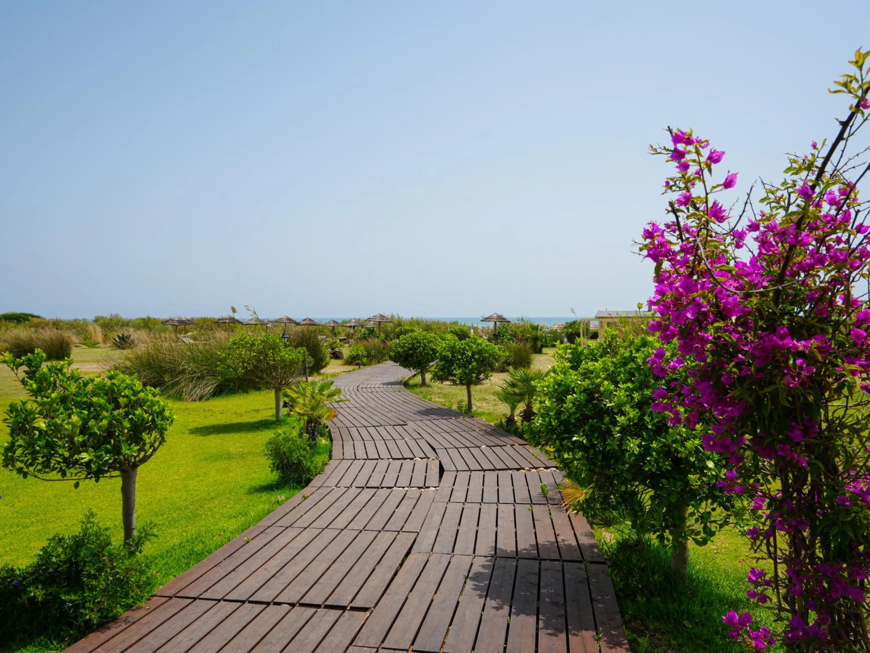 Garden in Sikania Eco Resort