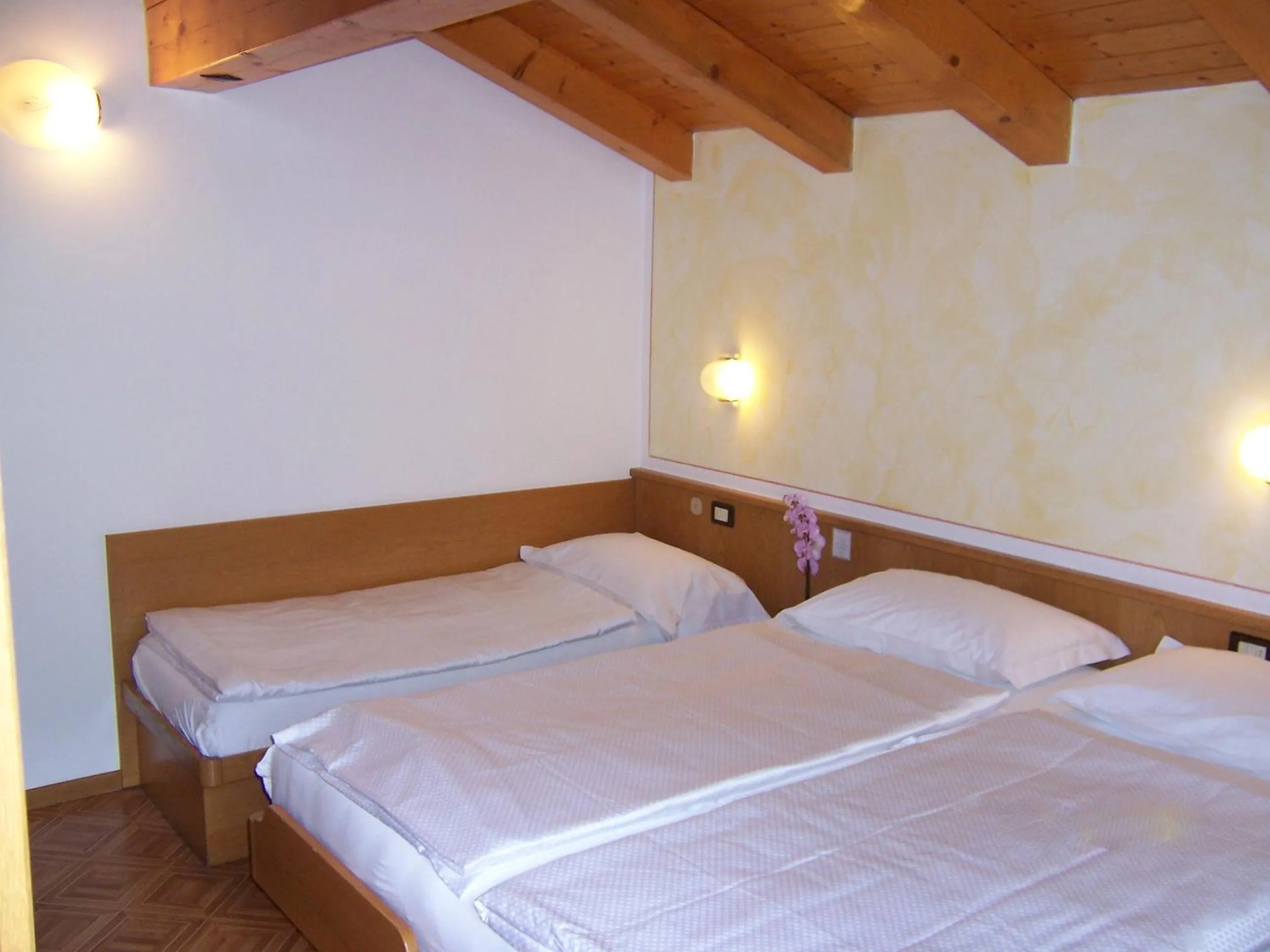 Bed in Alpen Hotel Rabbi