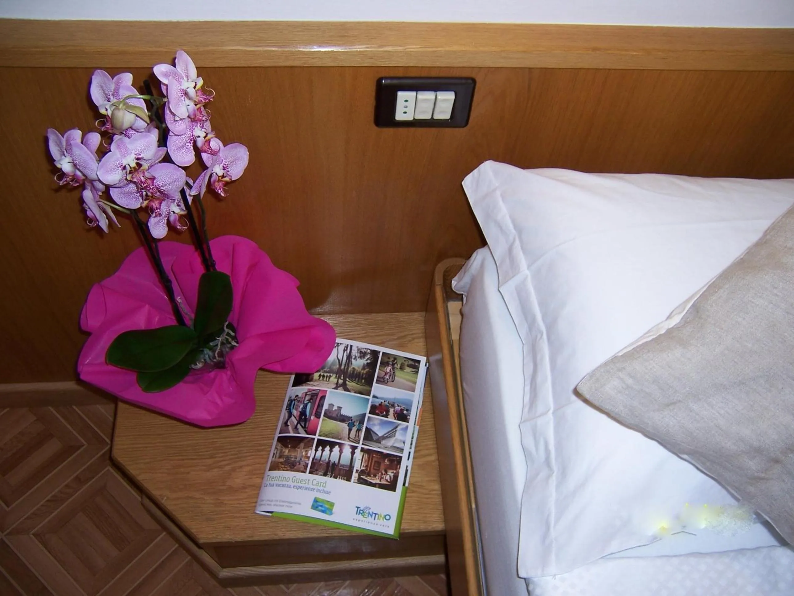 Decorative detail, Bed in Alpen Hotel Rabbi