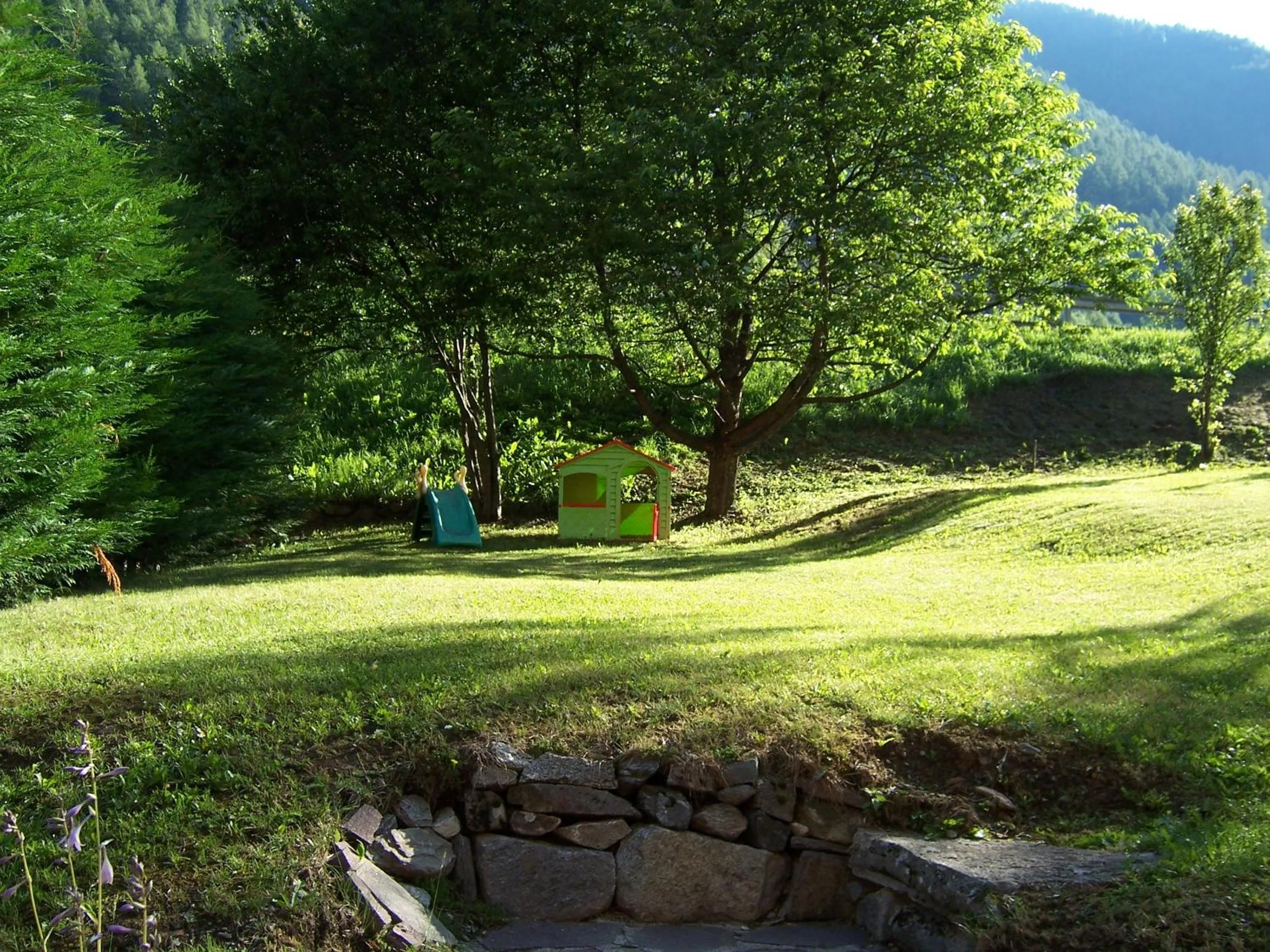 Spring in Alpen Hotel Rabbi