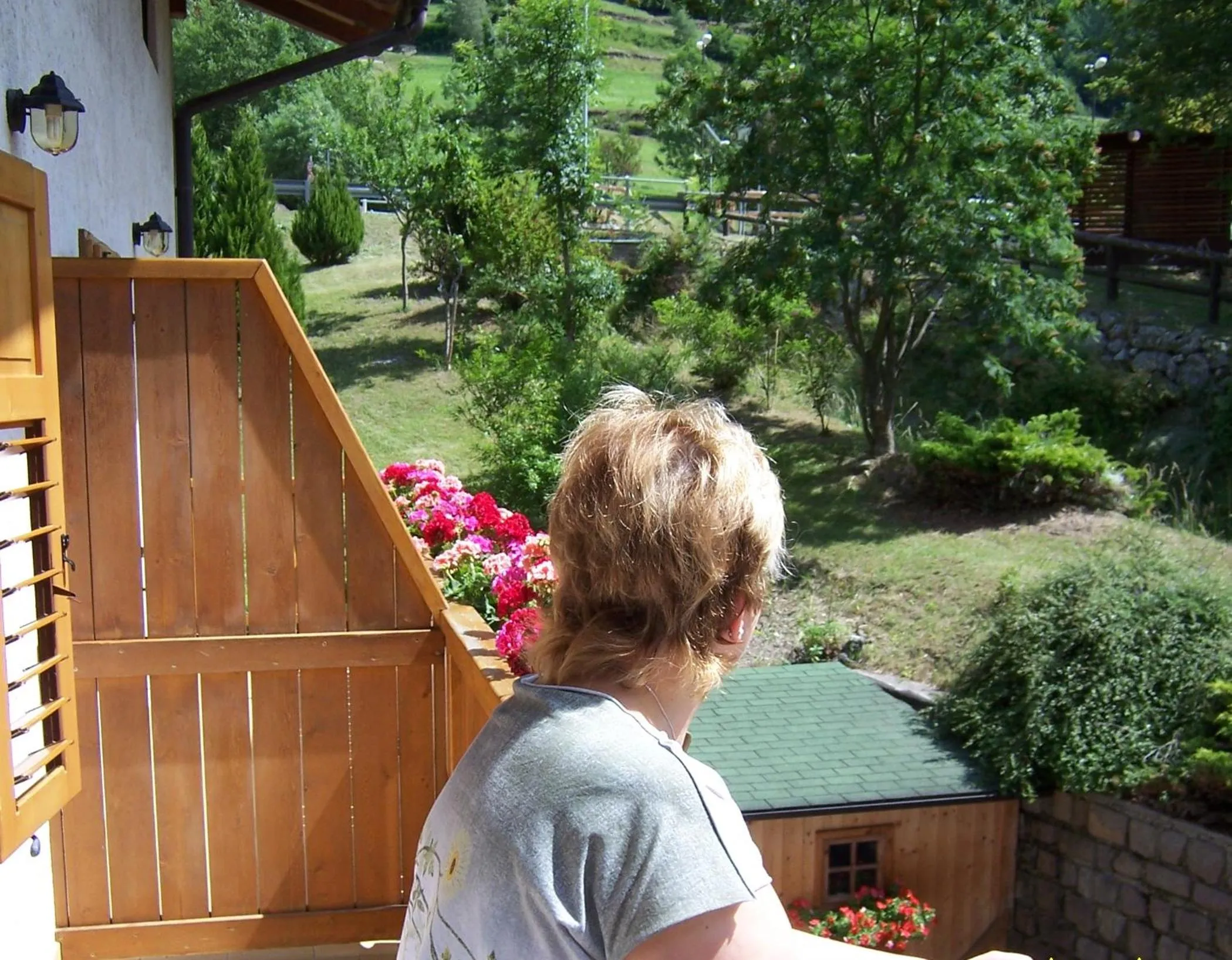 Balcony/Terrace in Alpen Hotel Rabbi