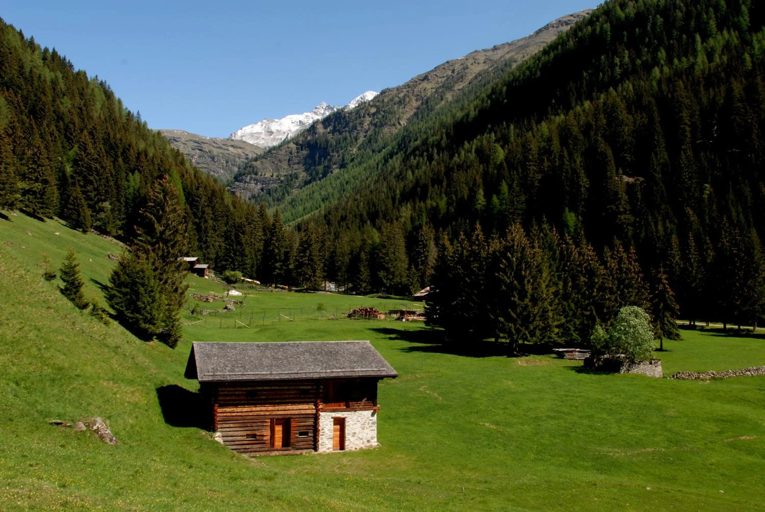 Natural landscape in Alpen Hotel Rabbi