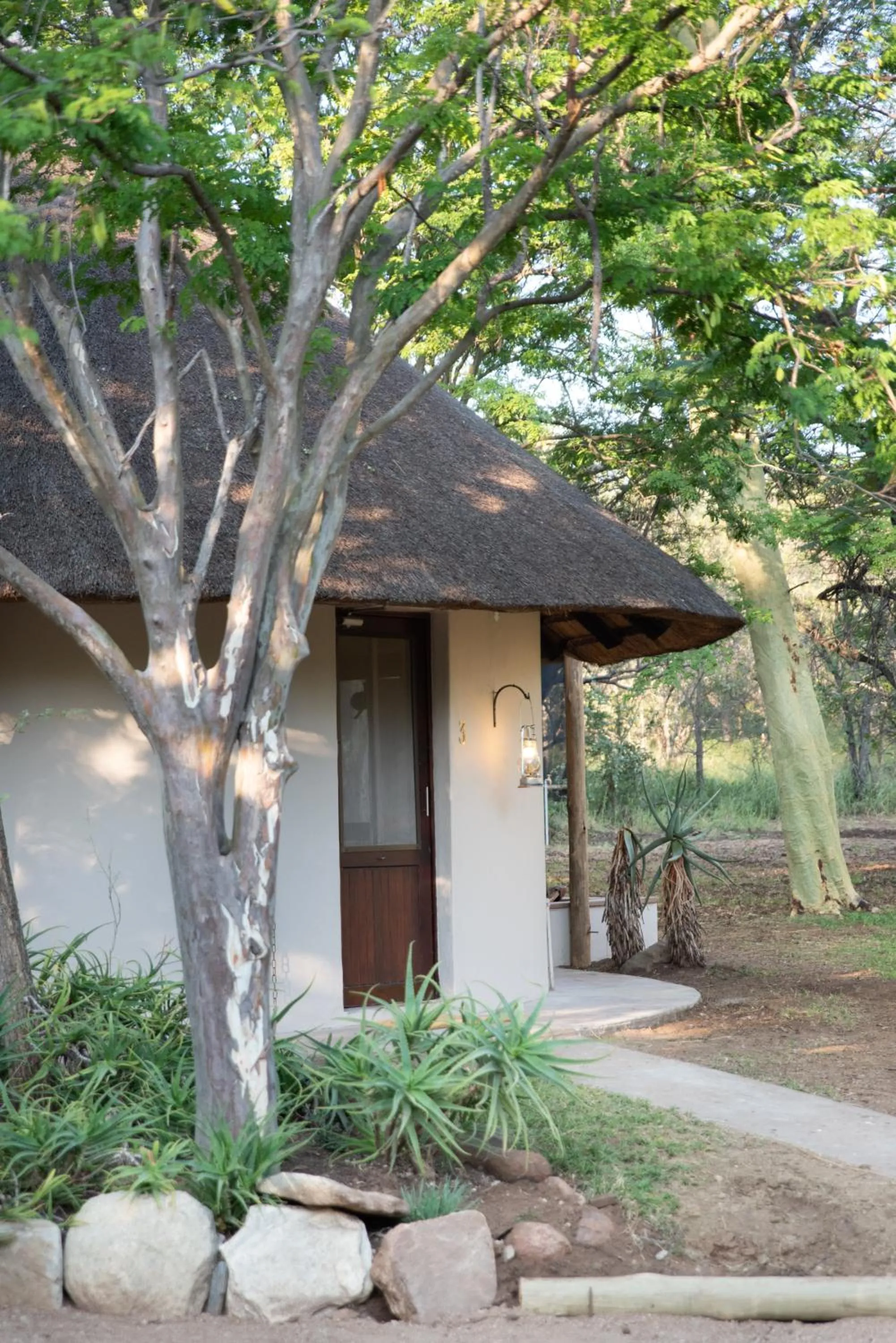 Garden in Nyala Safari Lodge
