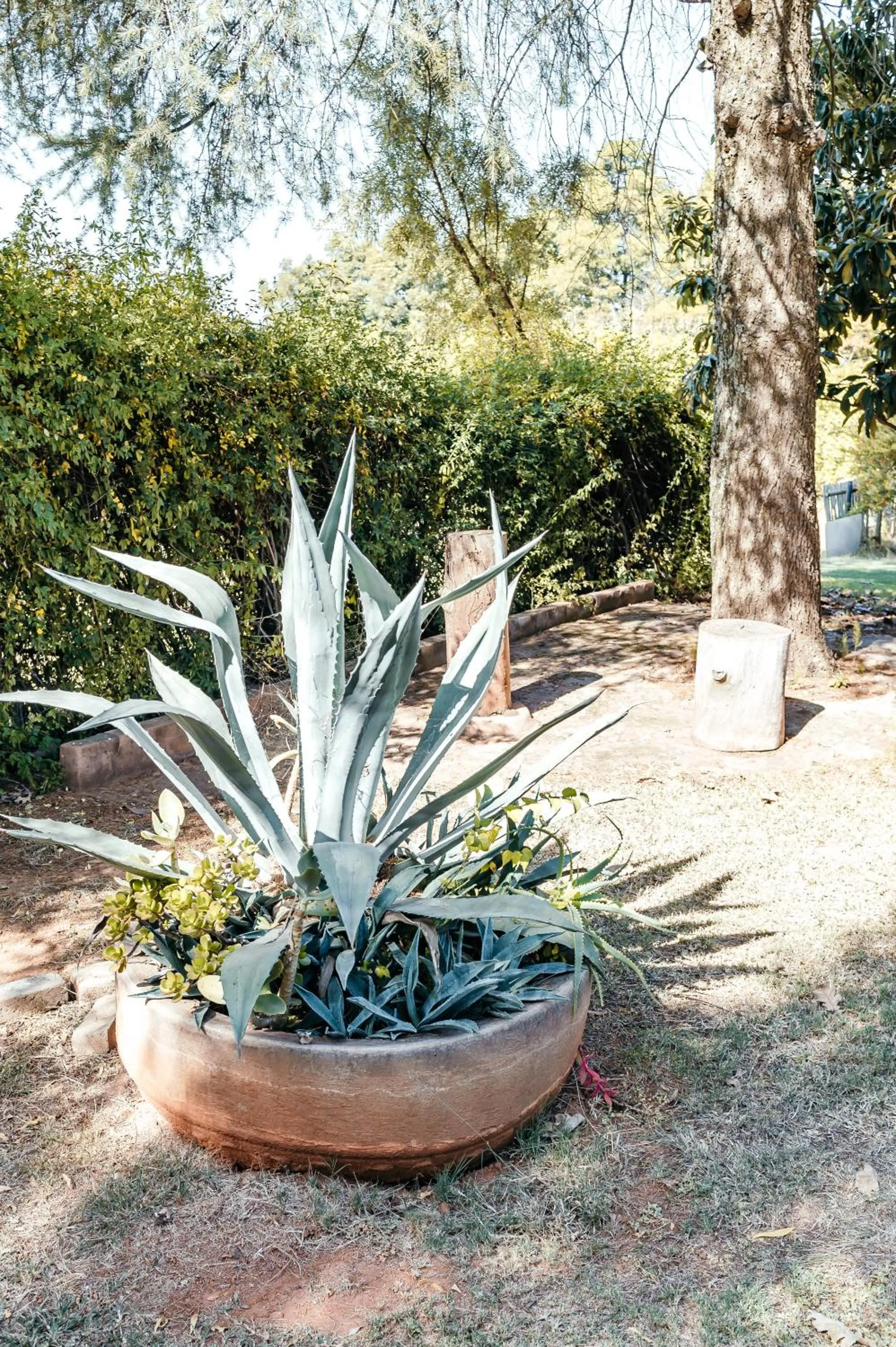 Garden in Misty Morn Cottages