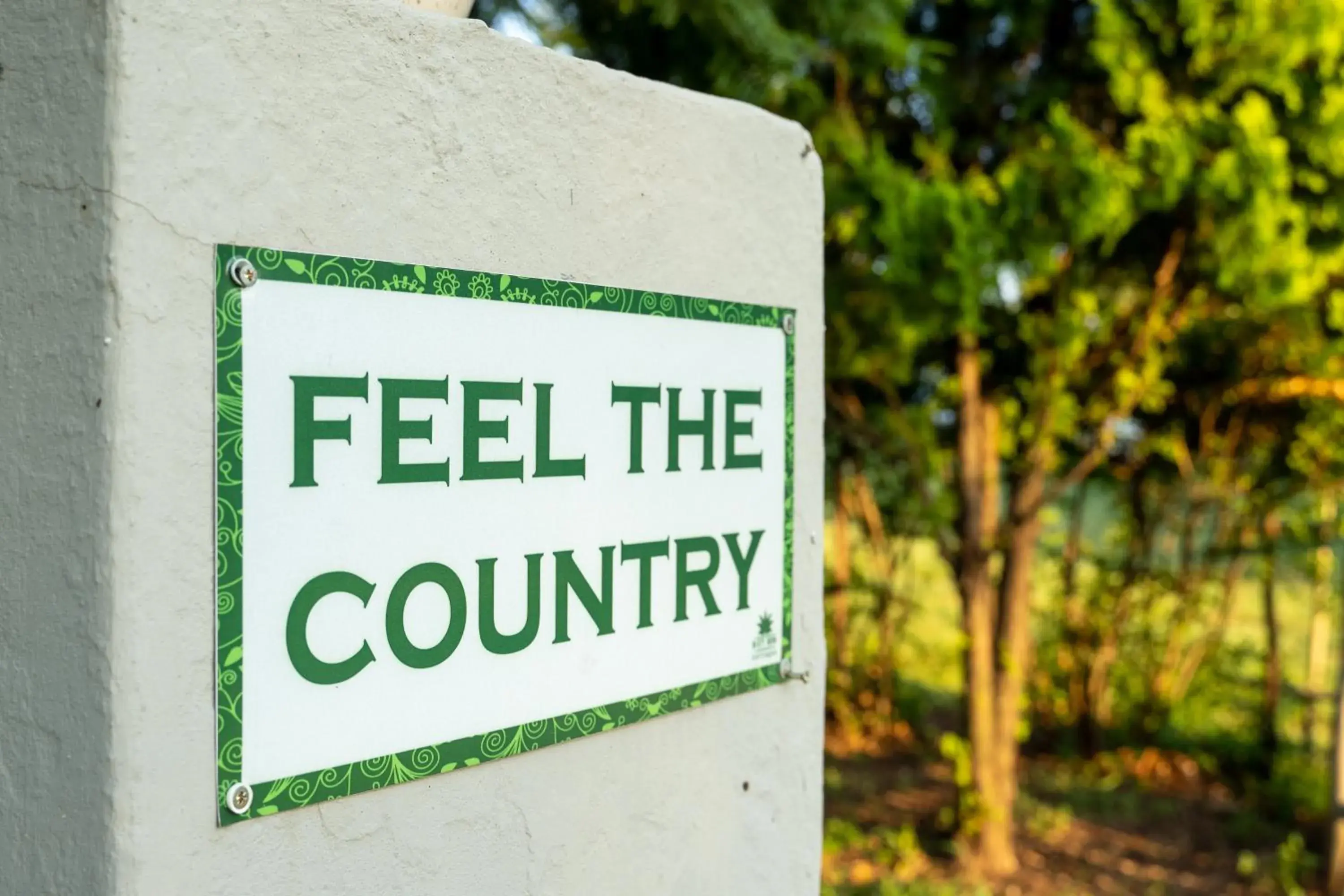 One-Bedroom Chalet - single occupancy in Misty Morn Cottages One-Bedroom Chalet - single occupancy in Misty Morn Cottages