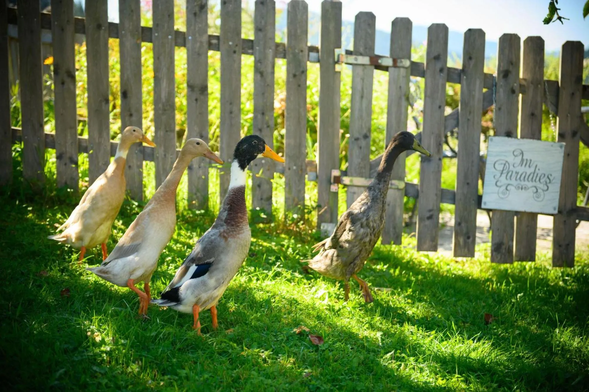 Wohlfühlresort und Feriengut Martinerhof
