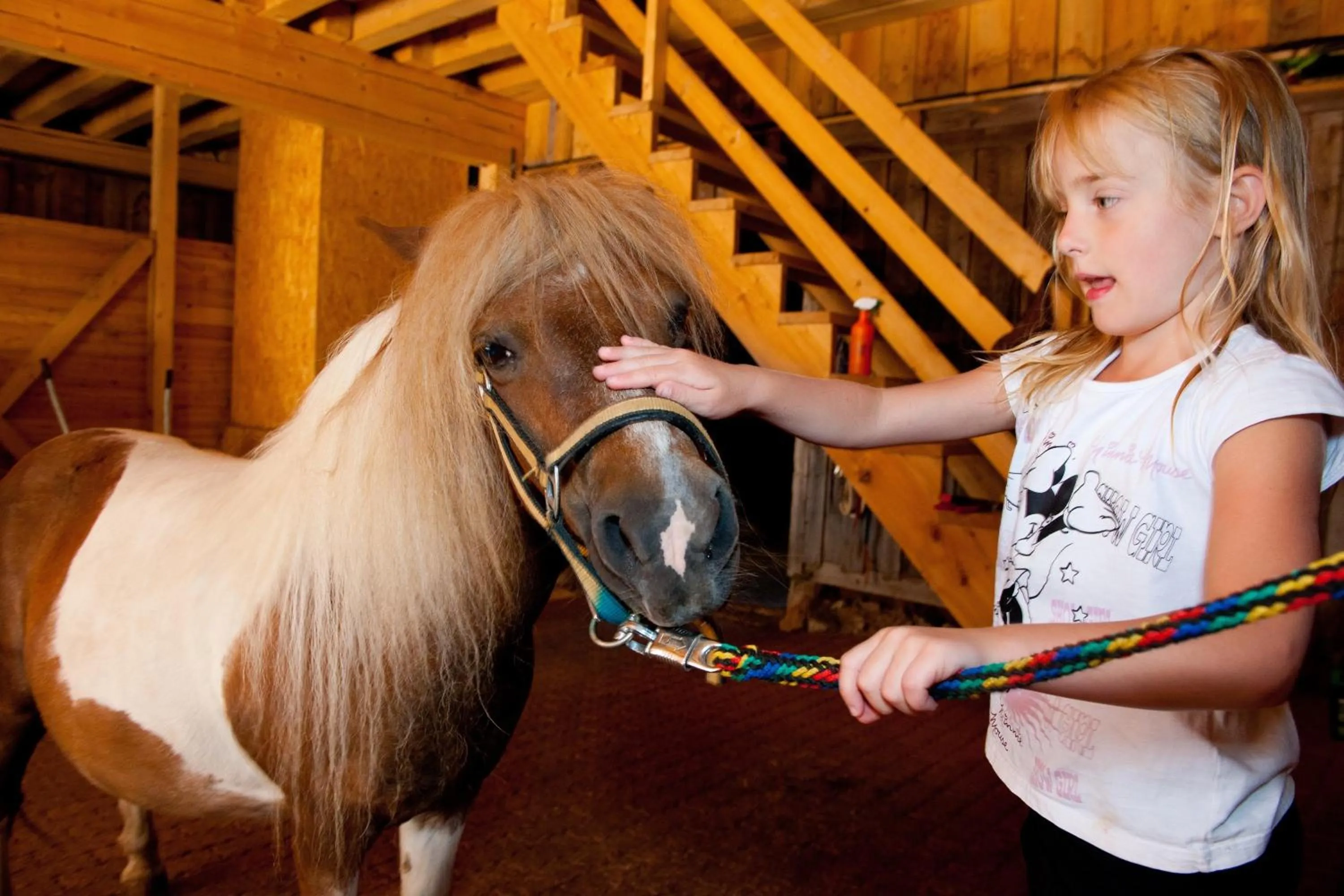 Horse-riding in Wohlfühlresort und Feriengut Martinerhof