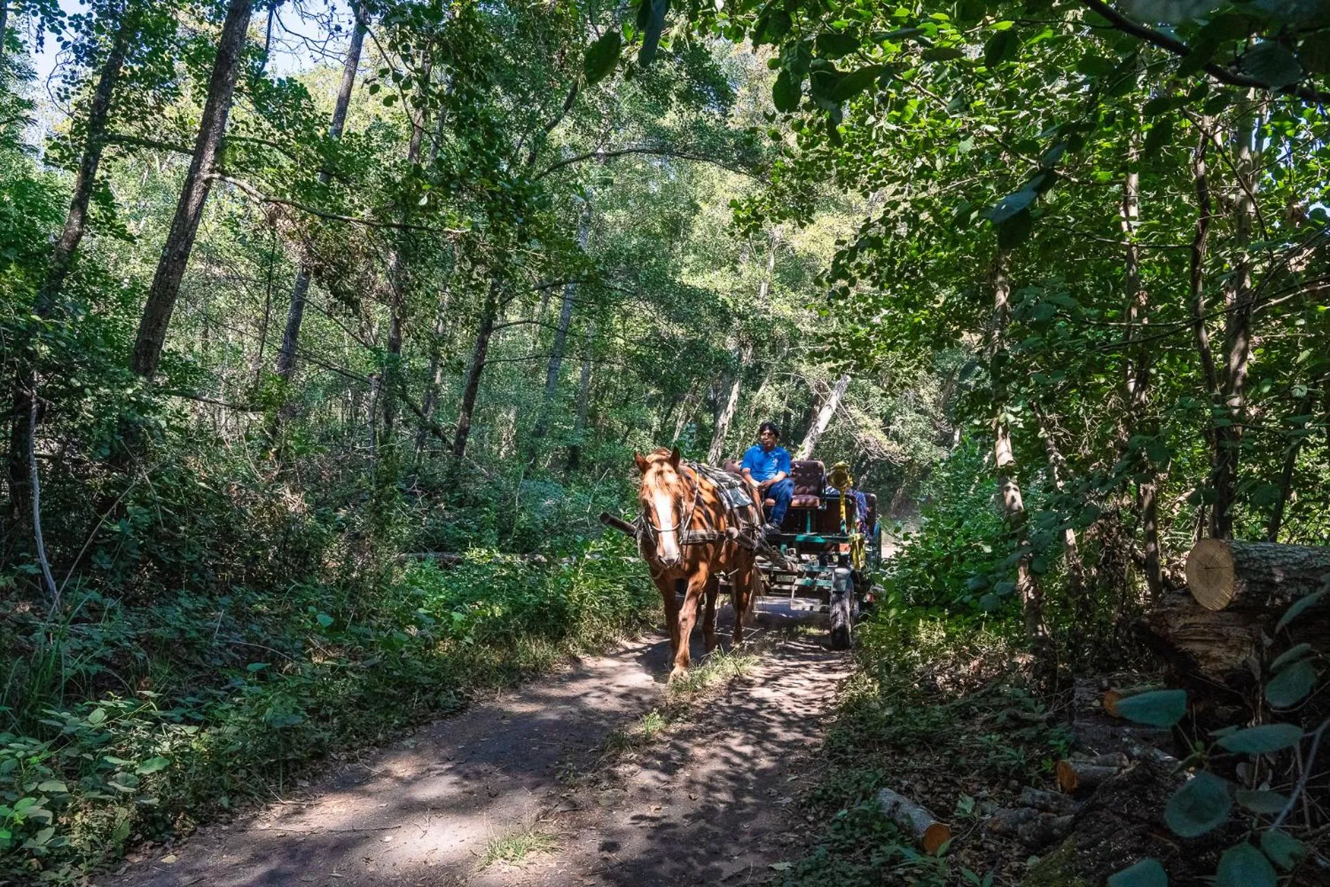 Hotel Salto Del Laja