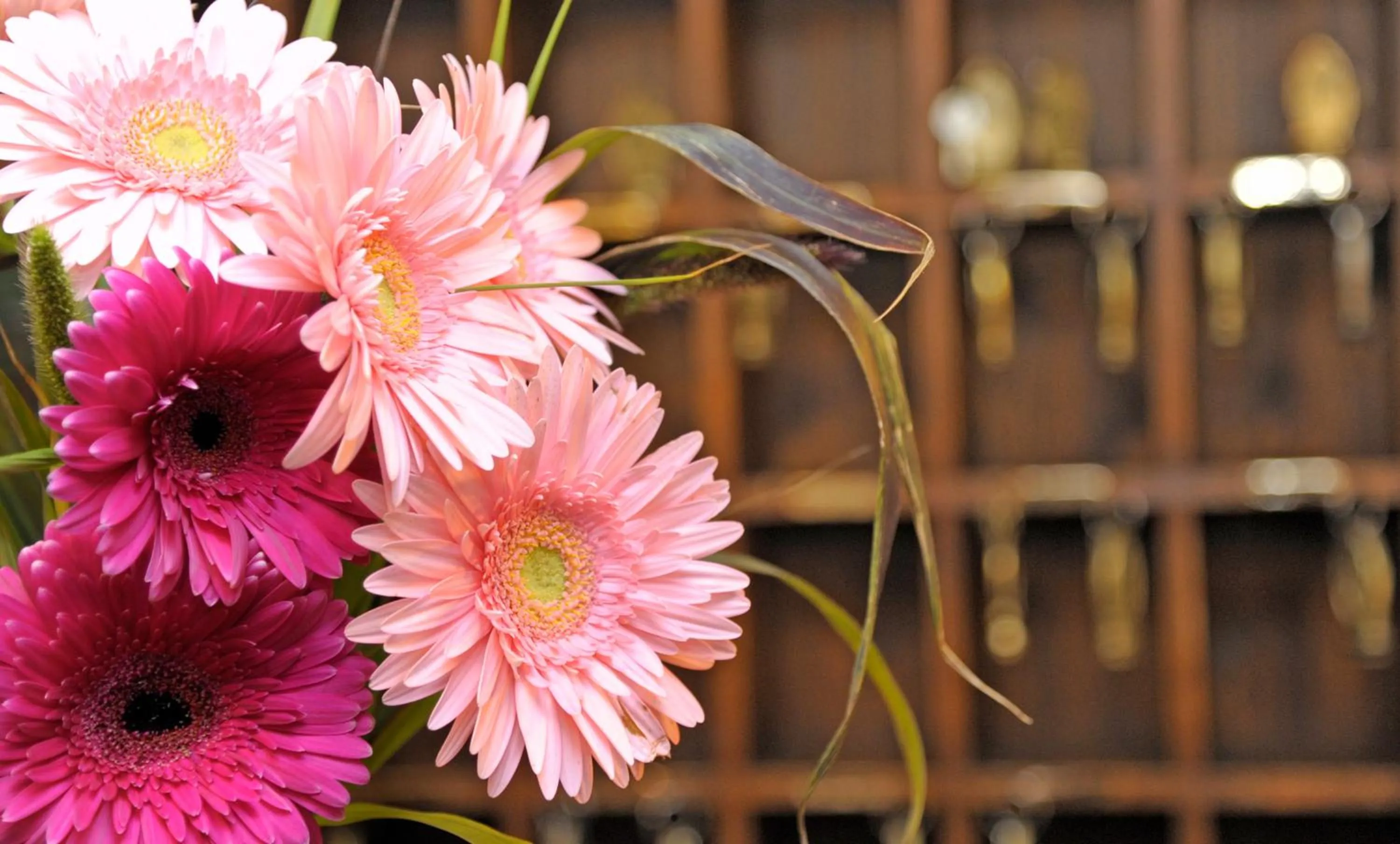 Lobby or reception in Hotel Hafnerwirt