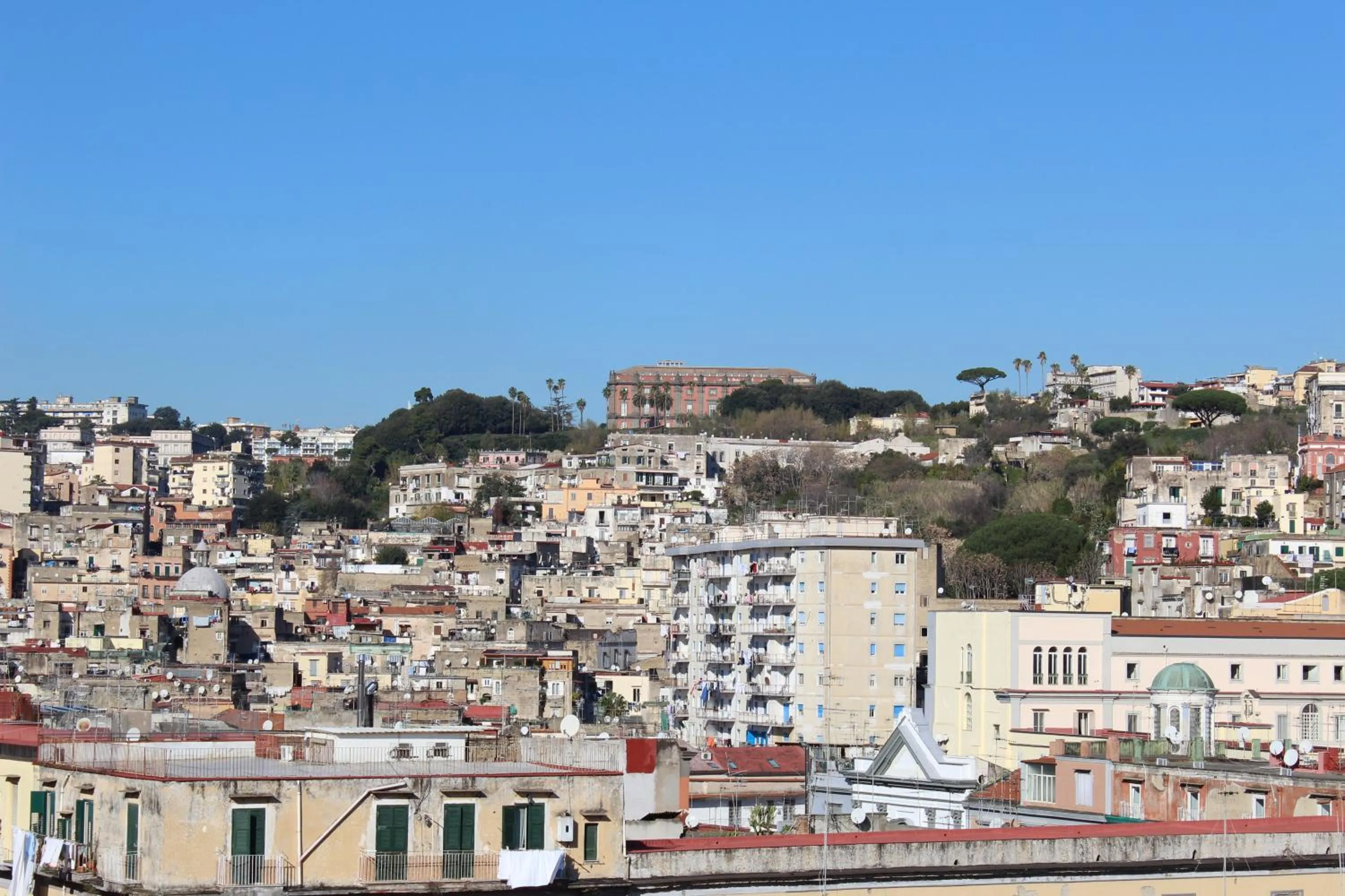 View (from property/room) in B&B Le Stelle del Museo