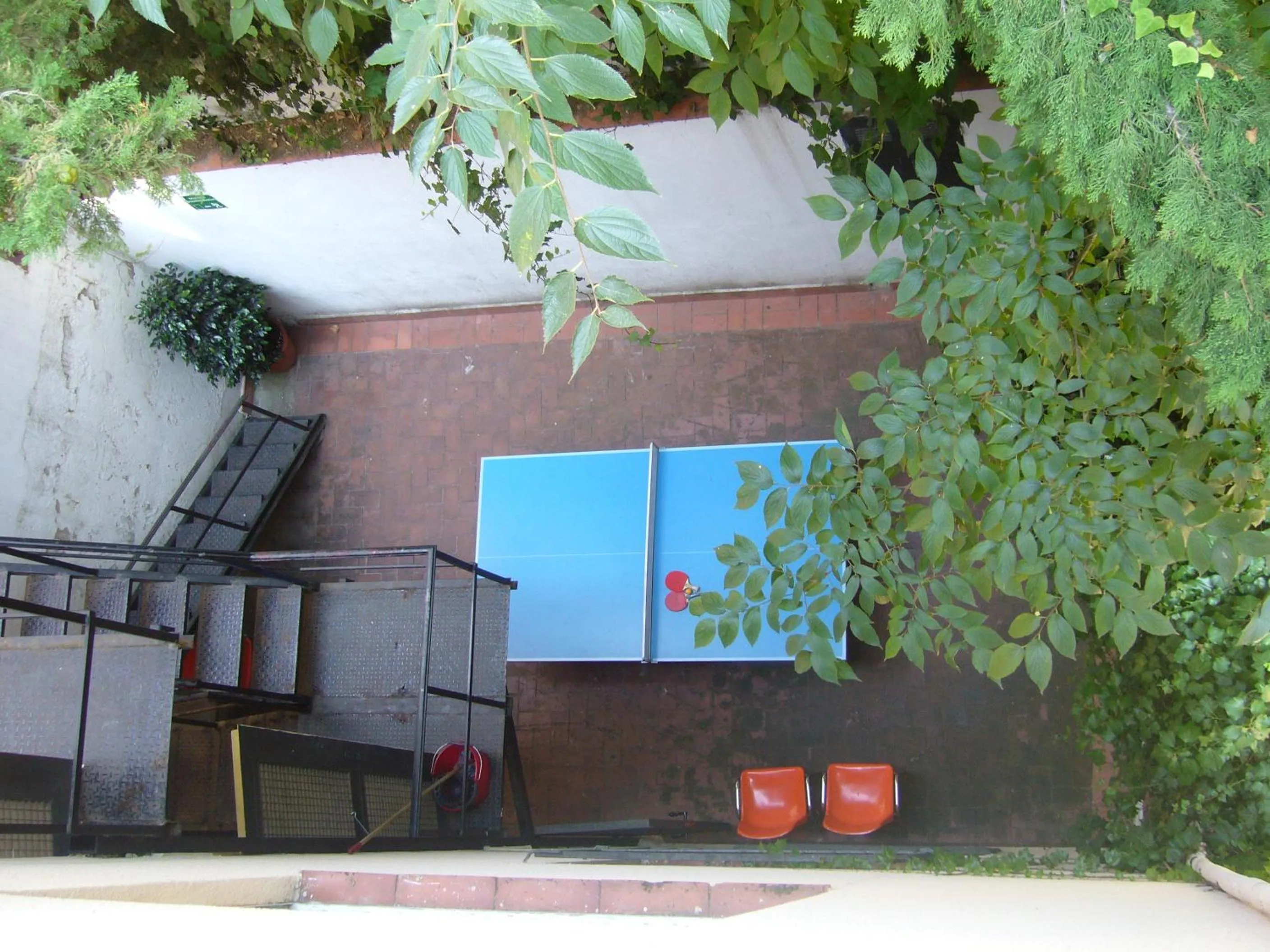 Table tennis in Studio Hostel