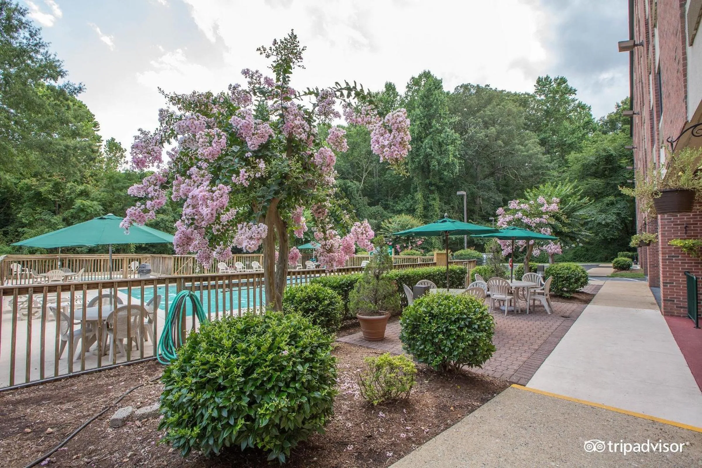 Garden in Country Inn & Suites by Radisson, Williamsburg East Busch Gardens , VA