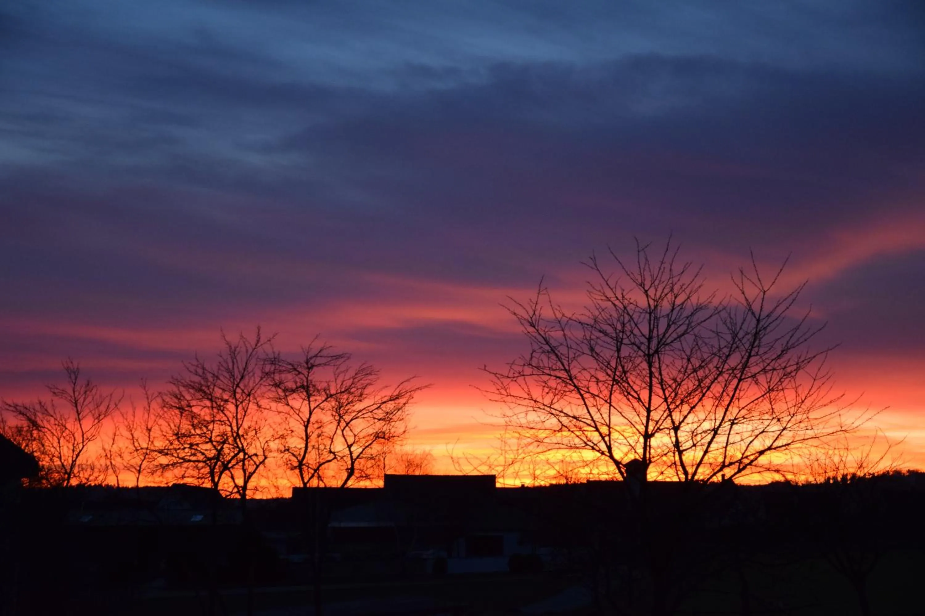 Seasons in Landhotel Steigerwaldhaus