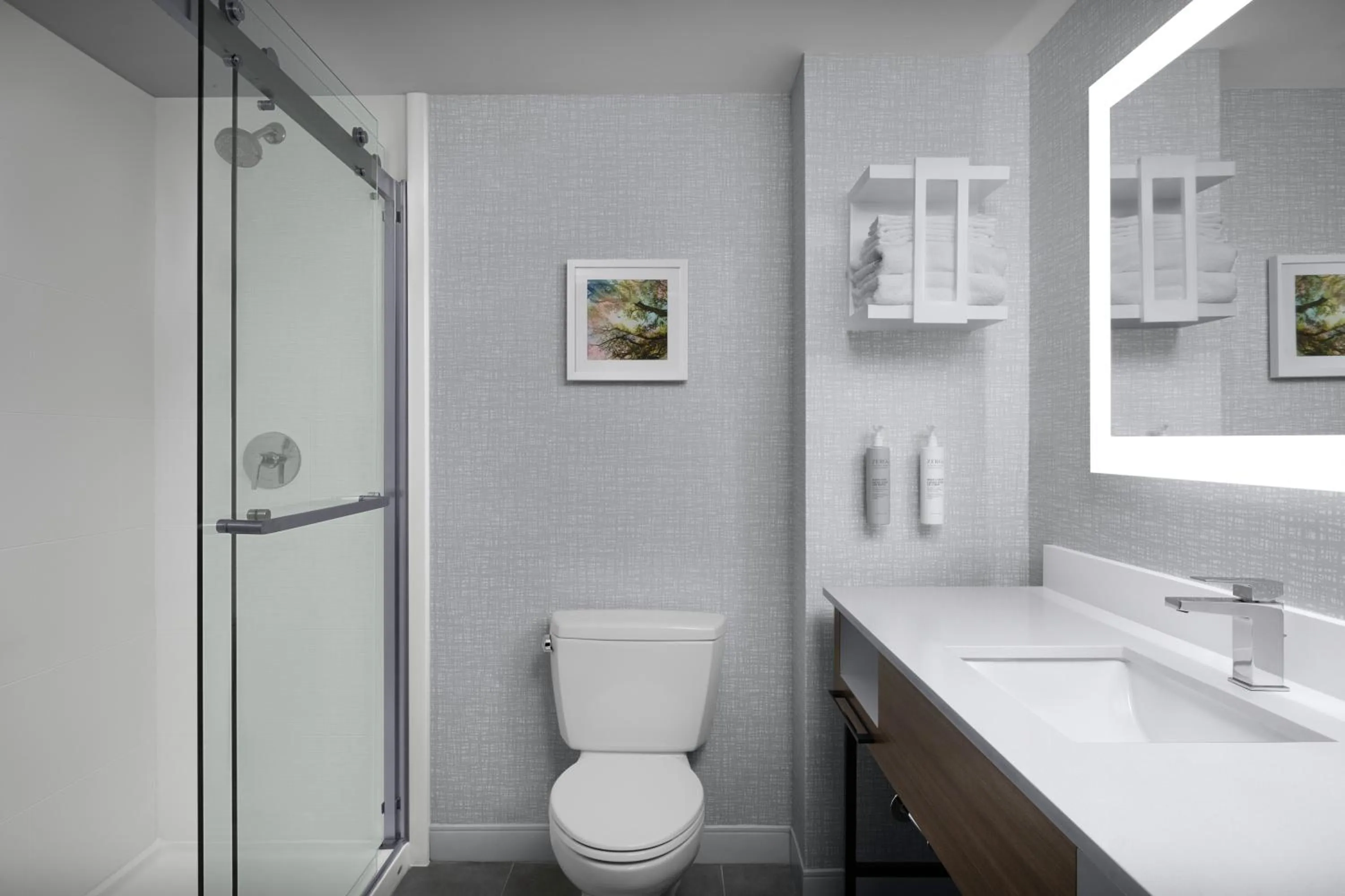 Bathroom in Hampton Inn Ithaca