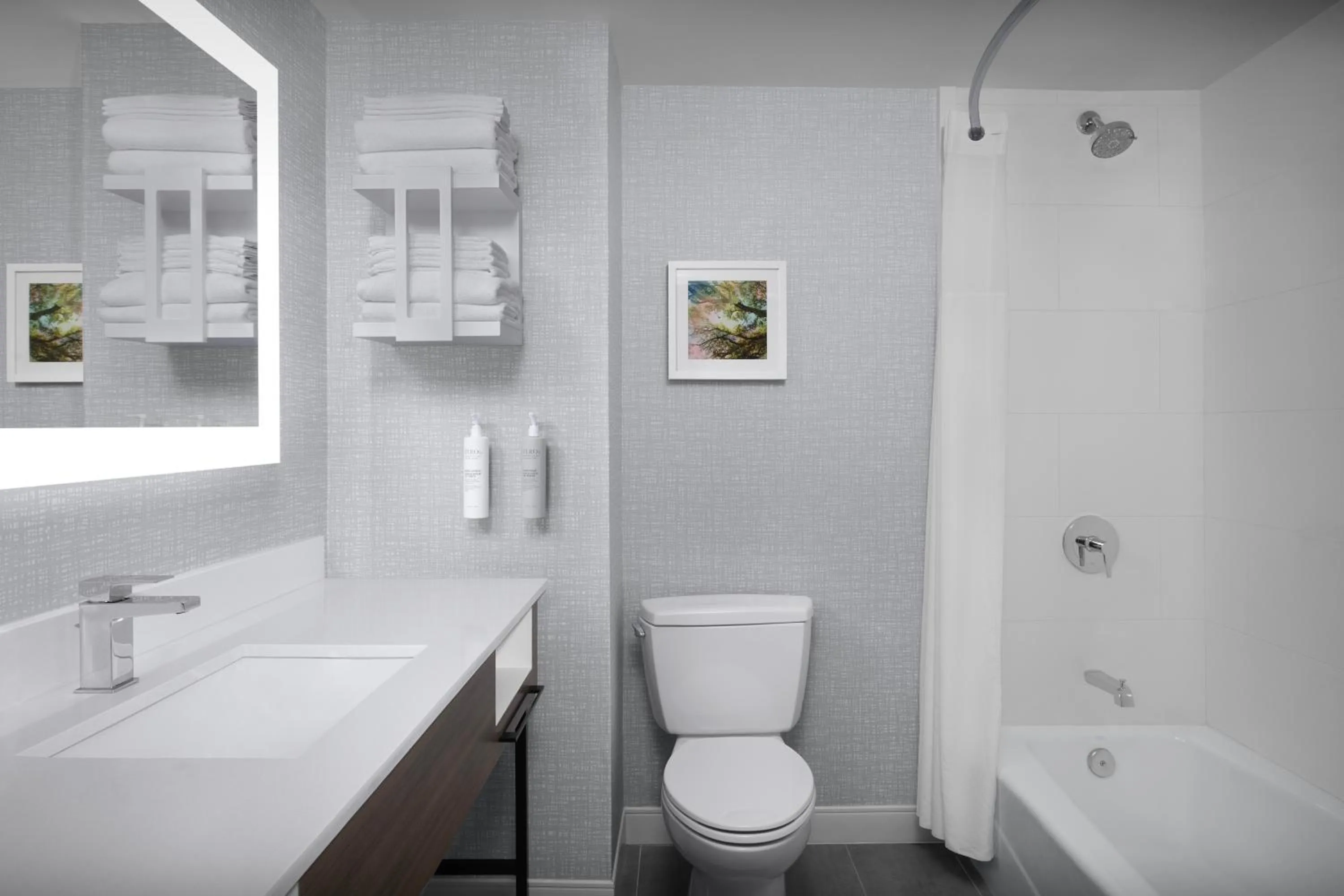 Bathroom in Hampton Inn Ithaca