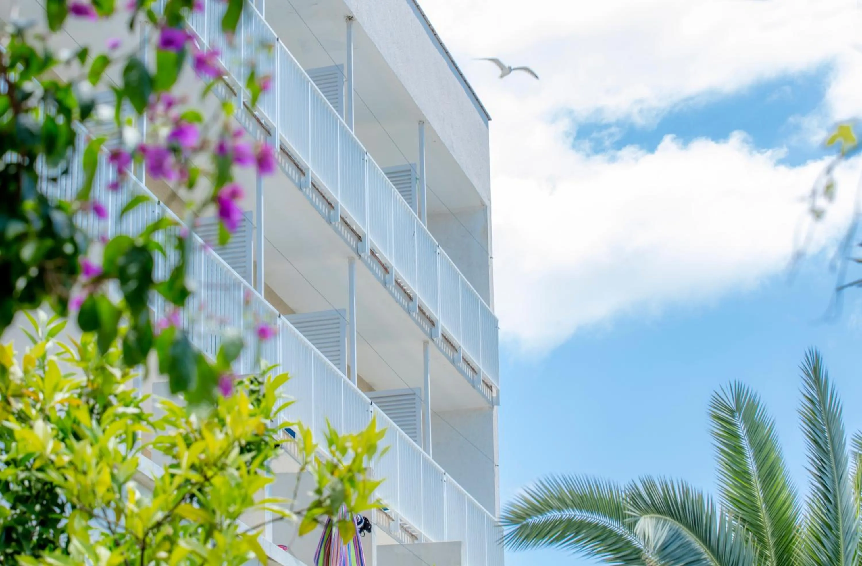 Facade/entrance in Orsan Maradiso Hotel by Aminess