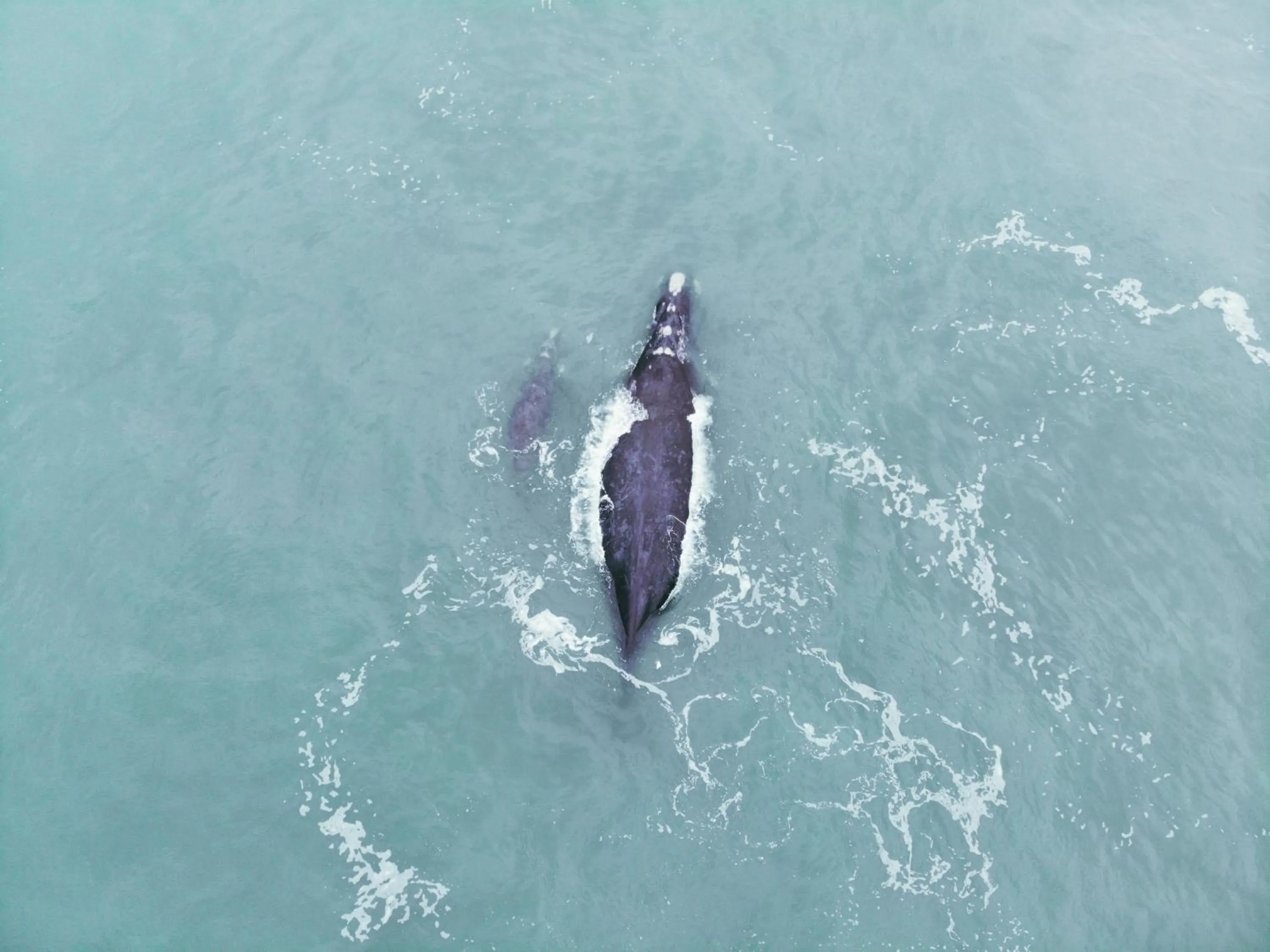 POUSADA PARAÍSO DA LAGOA