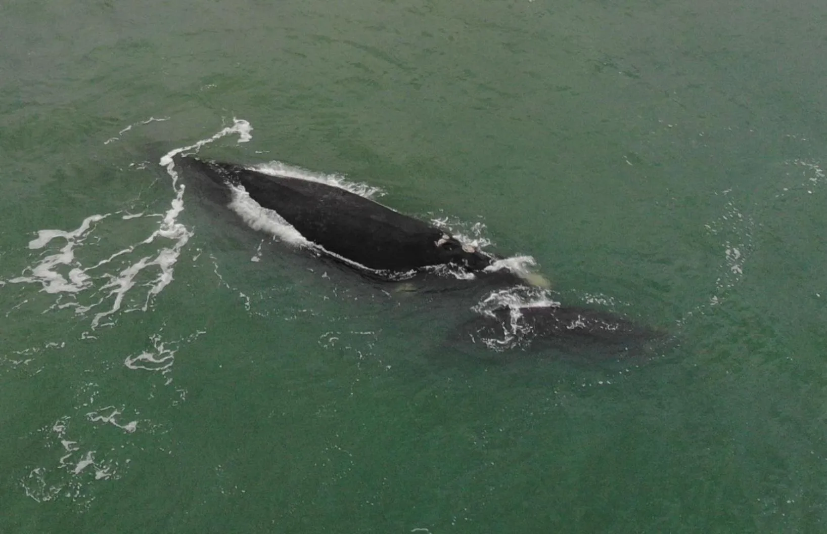 POUSADA PARAÍSO DA LAGOA