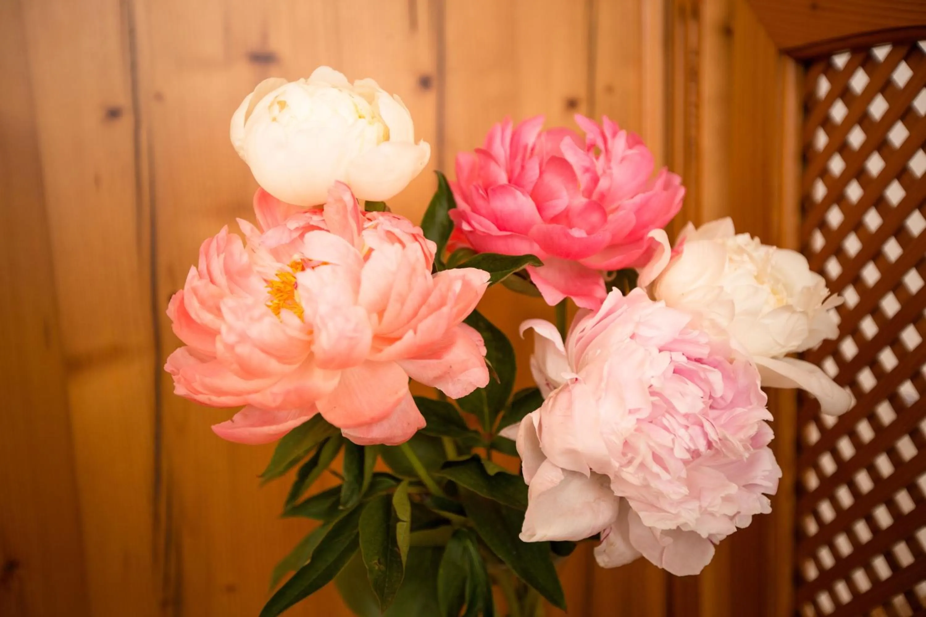 Decorative detail in Pension Knoll