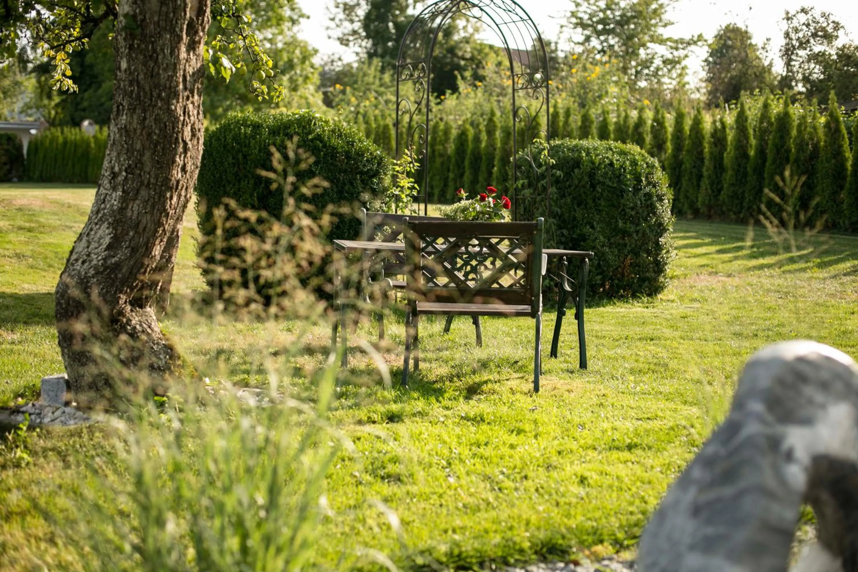 Garden in Pension Knoll