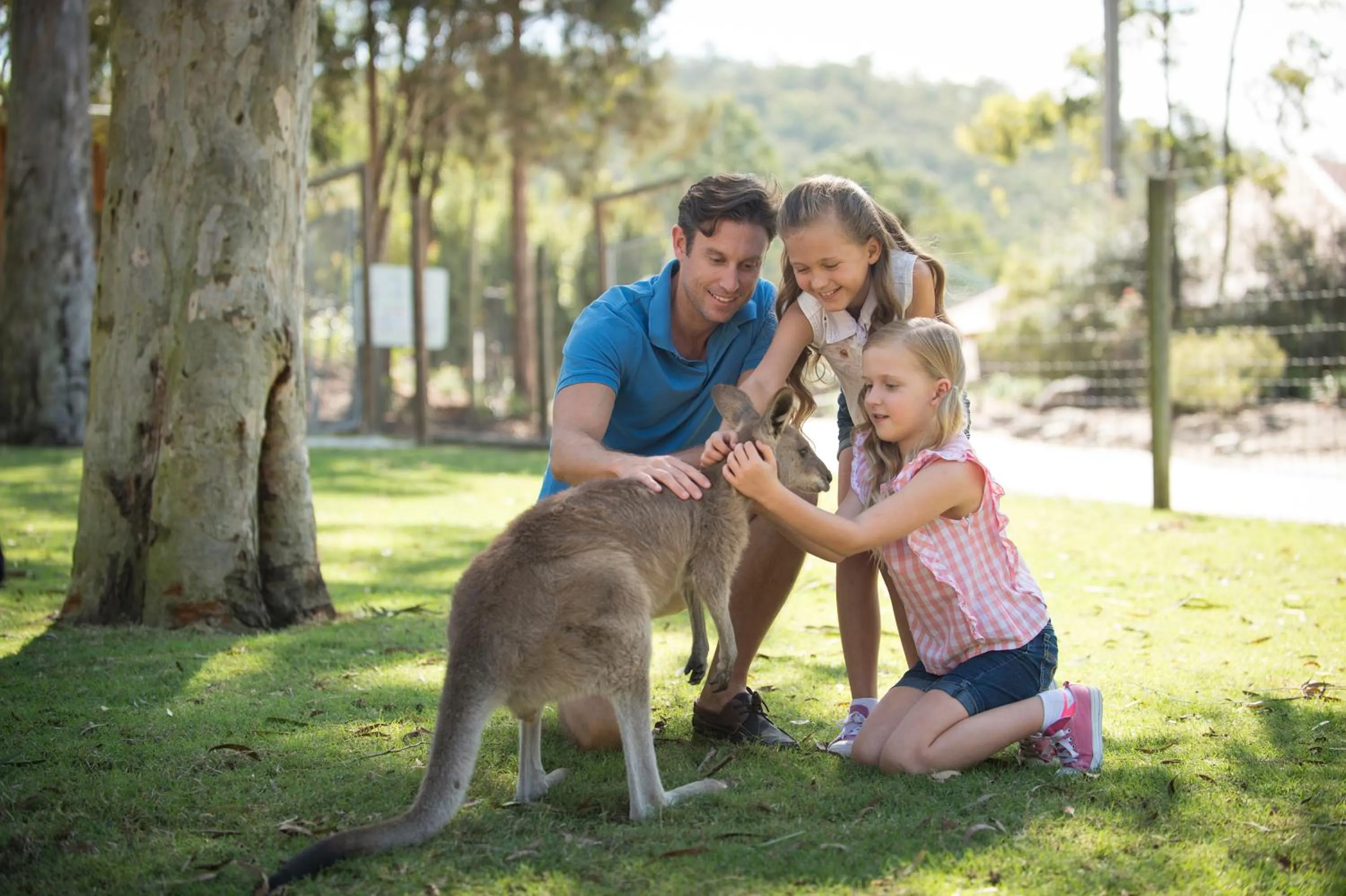 Activities in Paradise Country Farmstay