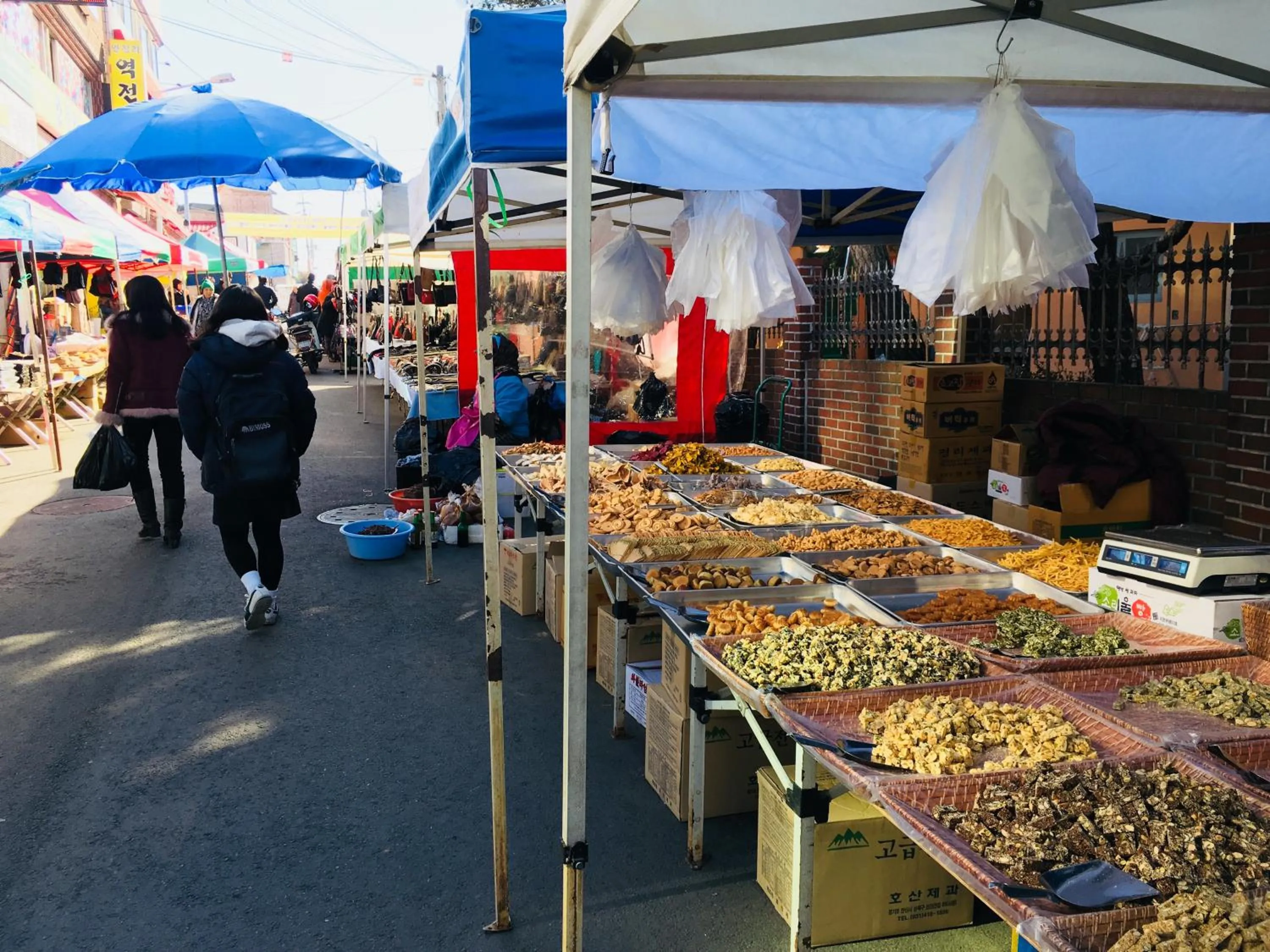 Activities in Hotel Joy near Camp Humphres