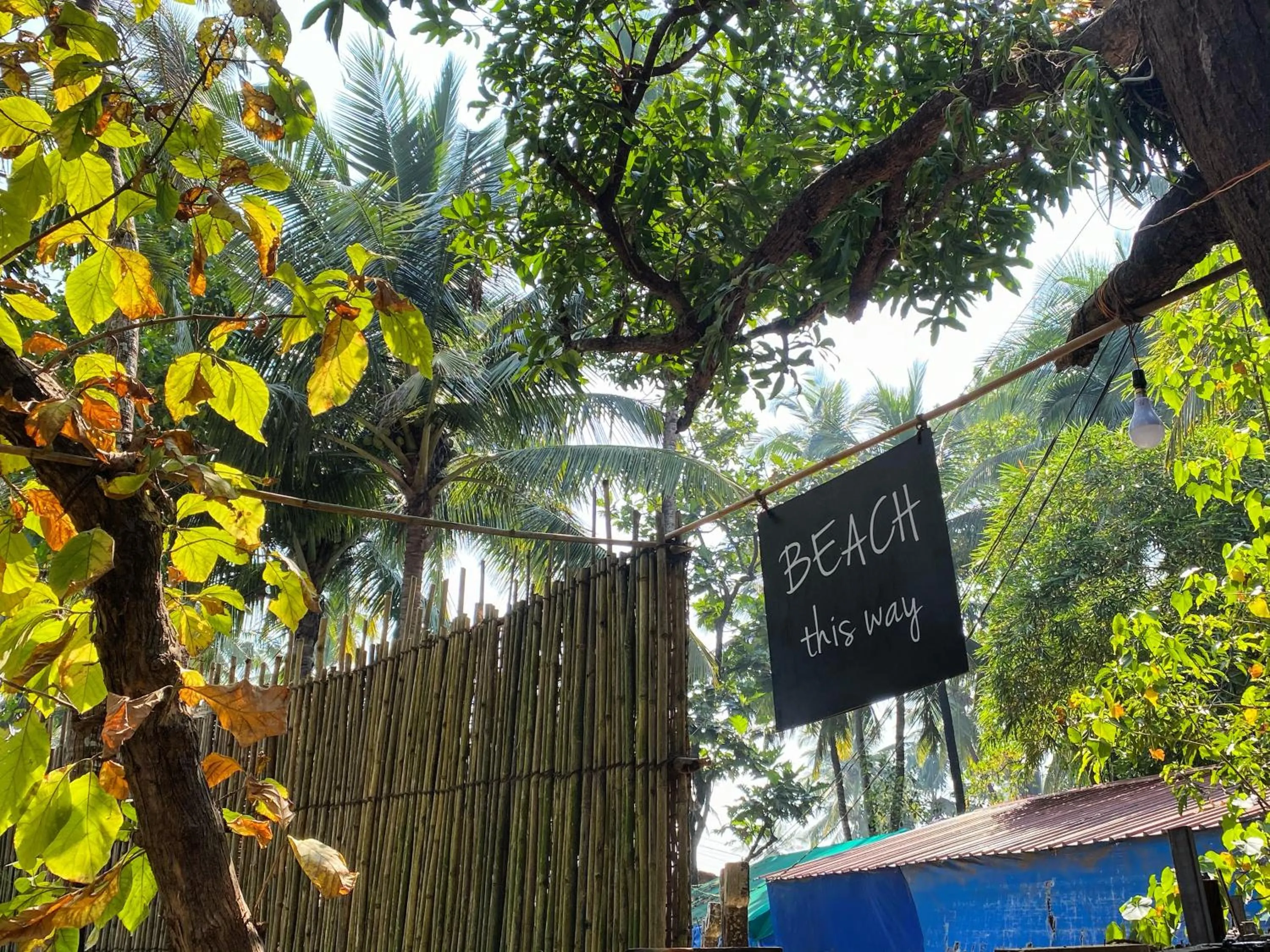 Property logo or sign in Palm Forest Palolem