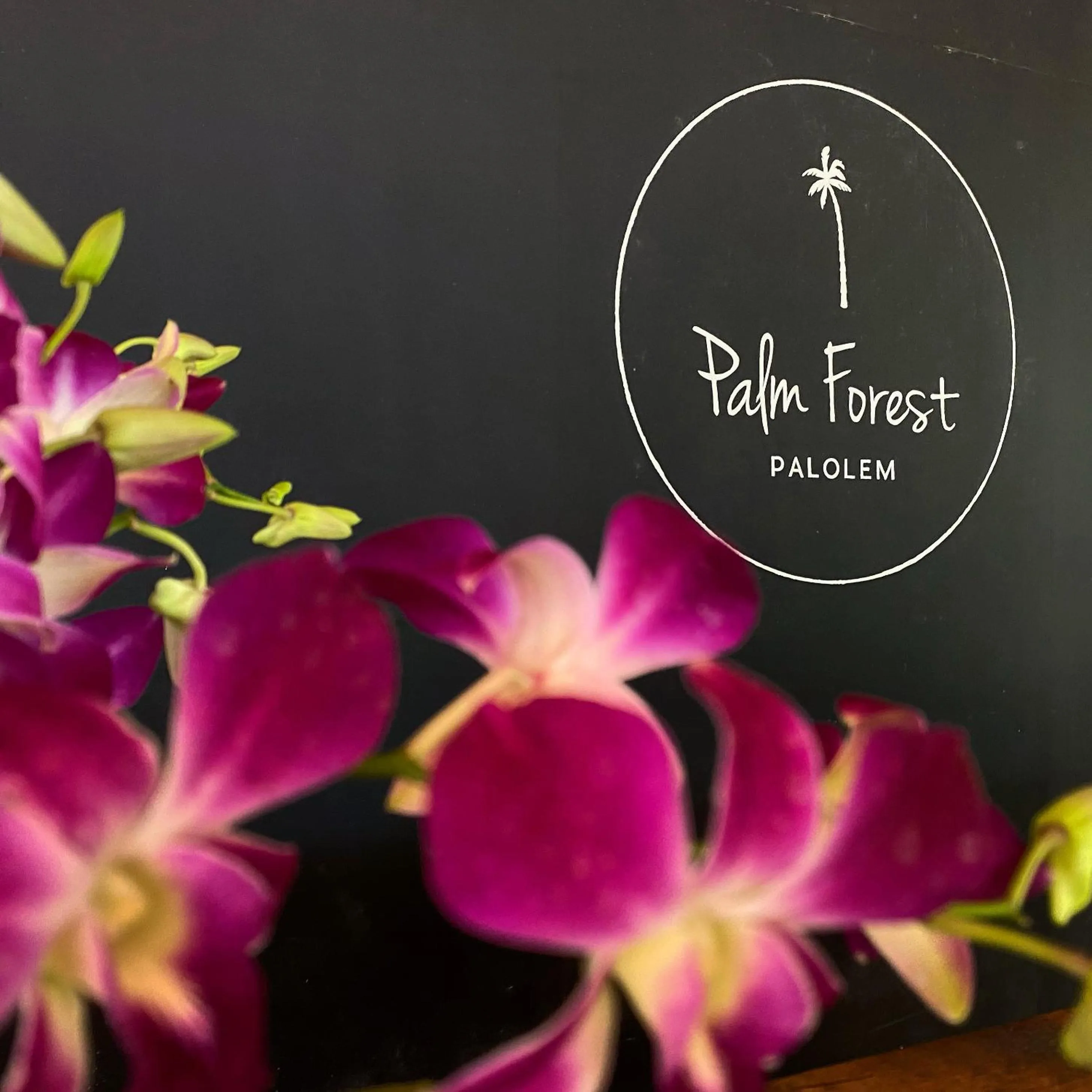 Property logo or sign in Palm Forest Palolem