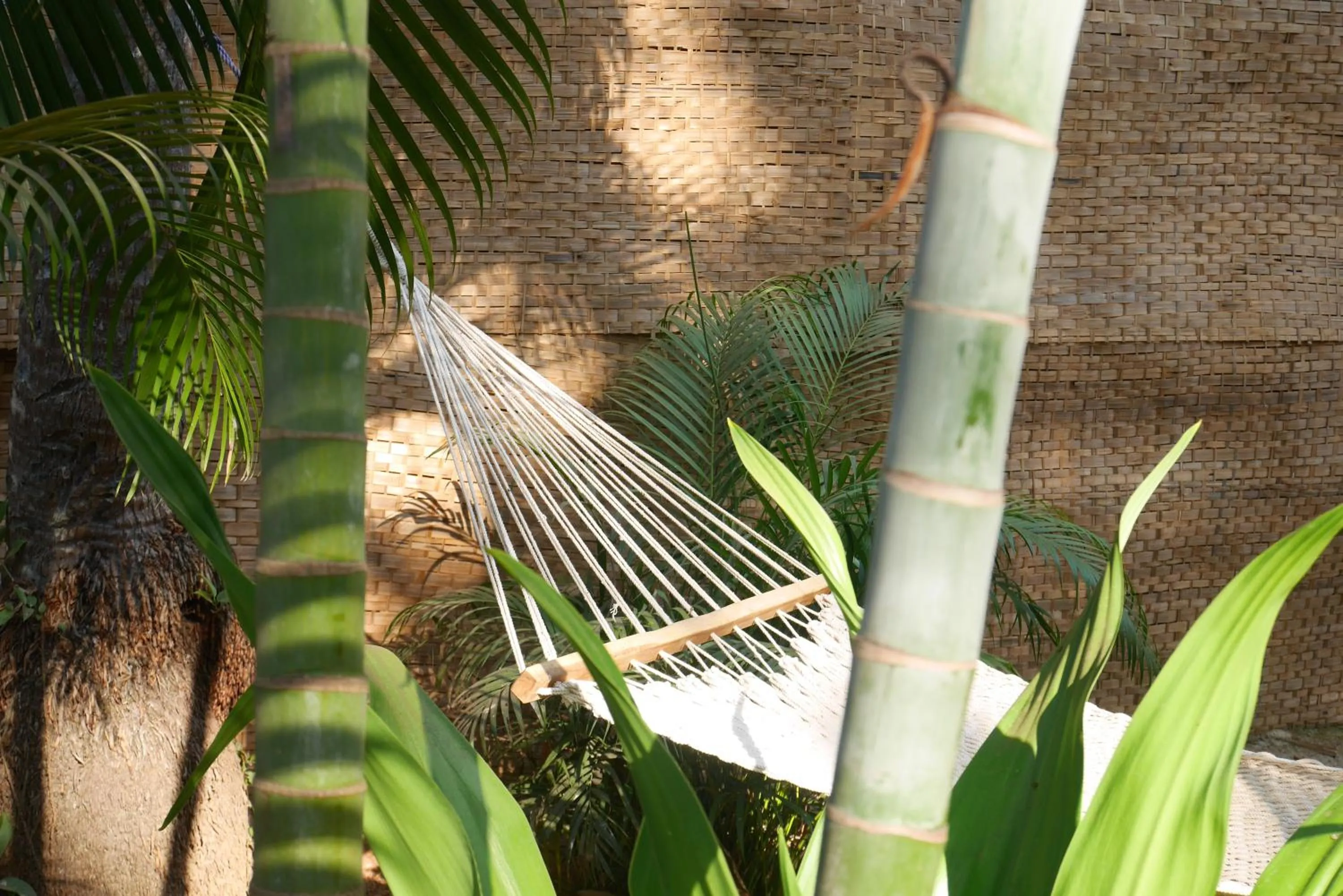 Garden in Palm Forest Palolem