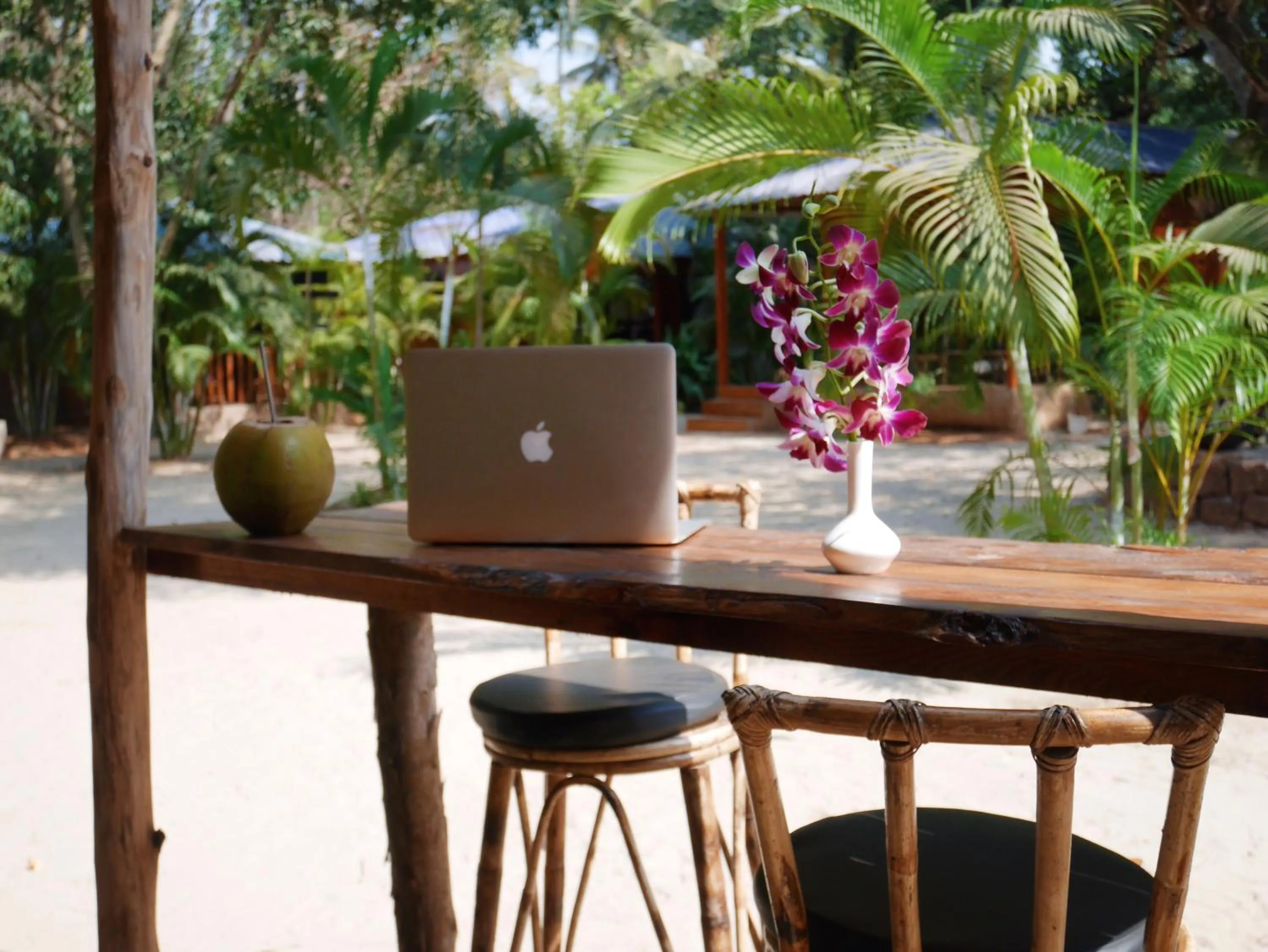 Restaurant/places to eat in Palm Forest Palolem