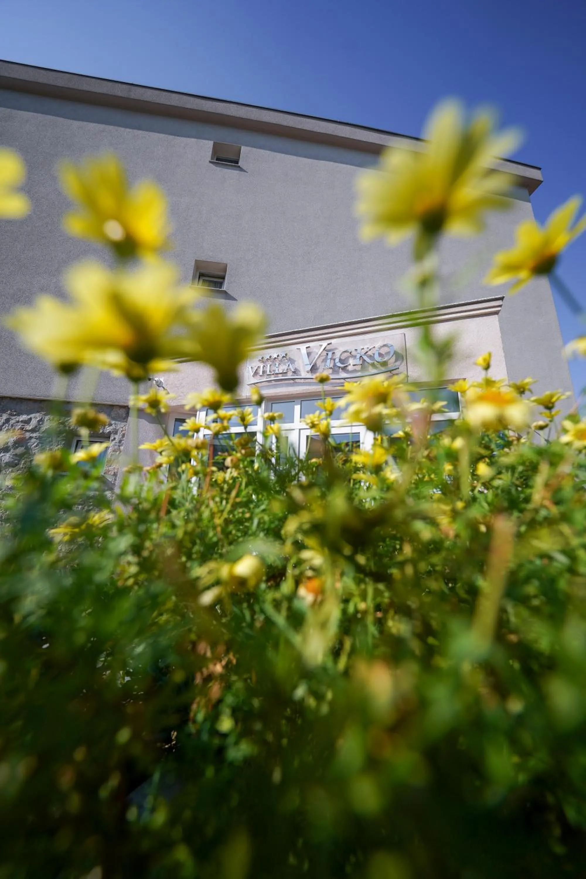 Property building in Villa Vicko