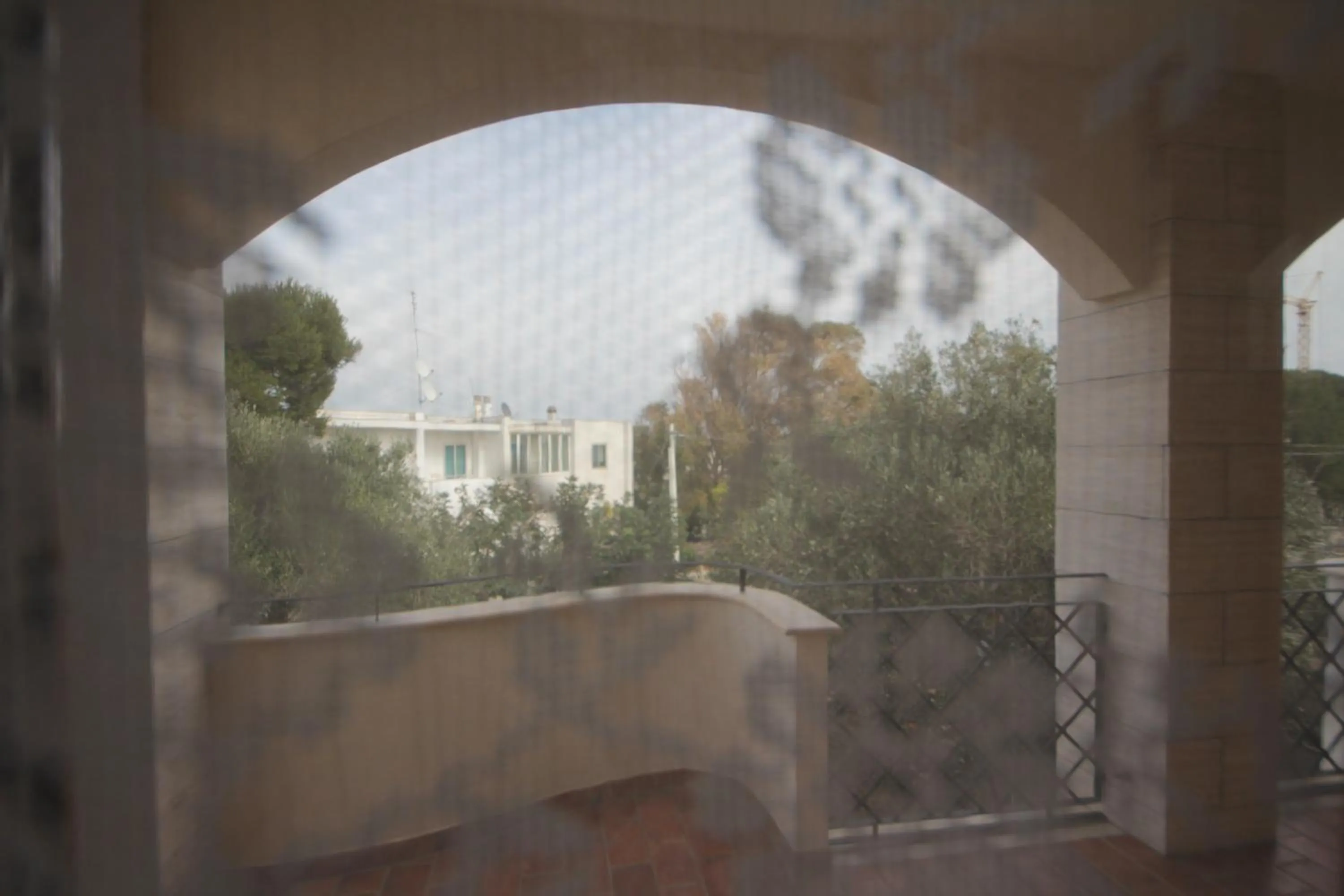 Garden view in B&B La Rosa Blu