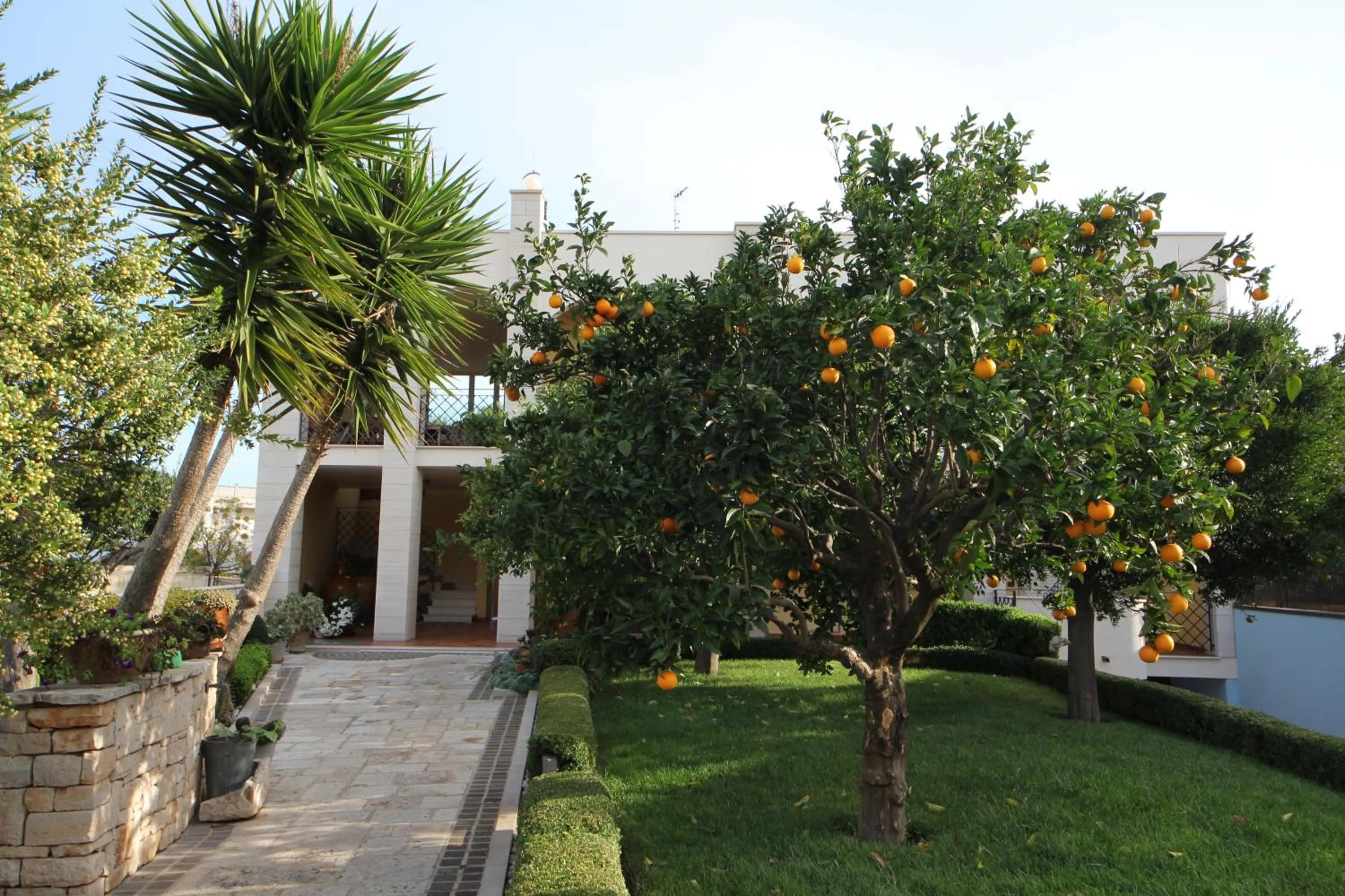 Facade/entrance in B&B La Rosa Blu