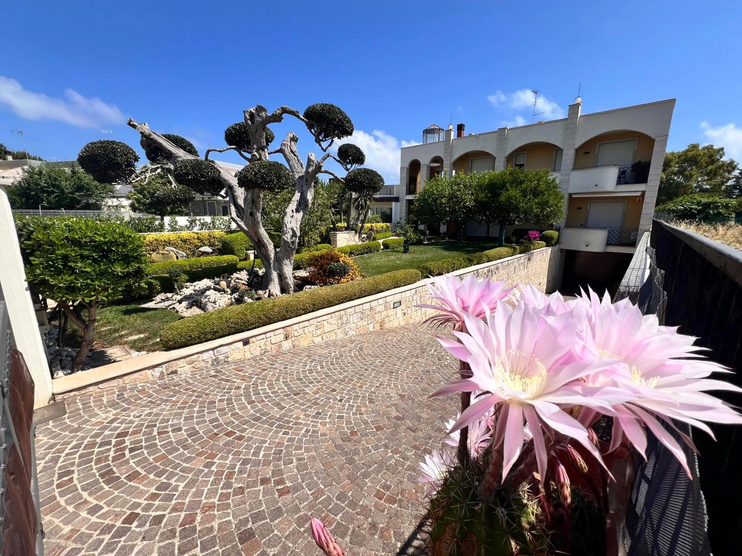 Property building in B&B La Rosa Blu