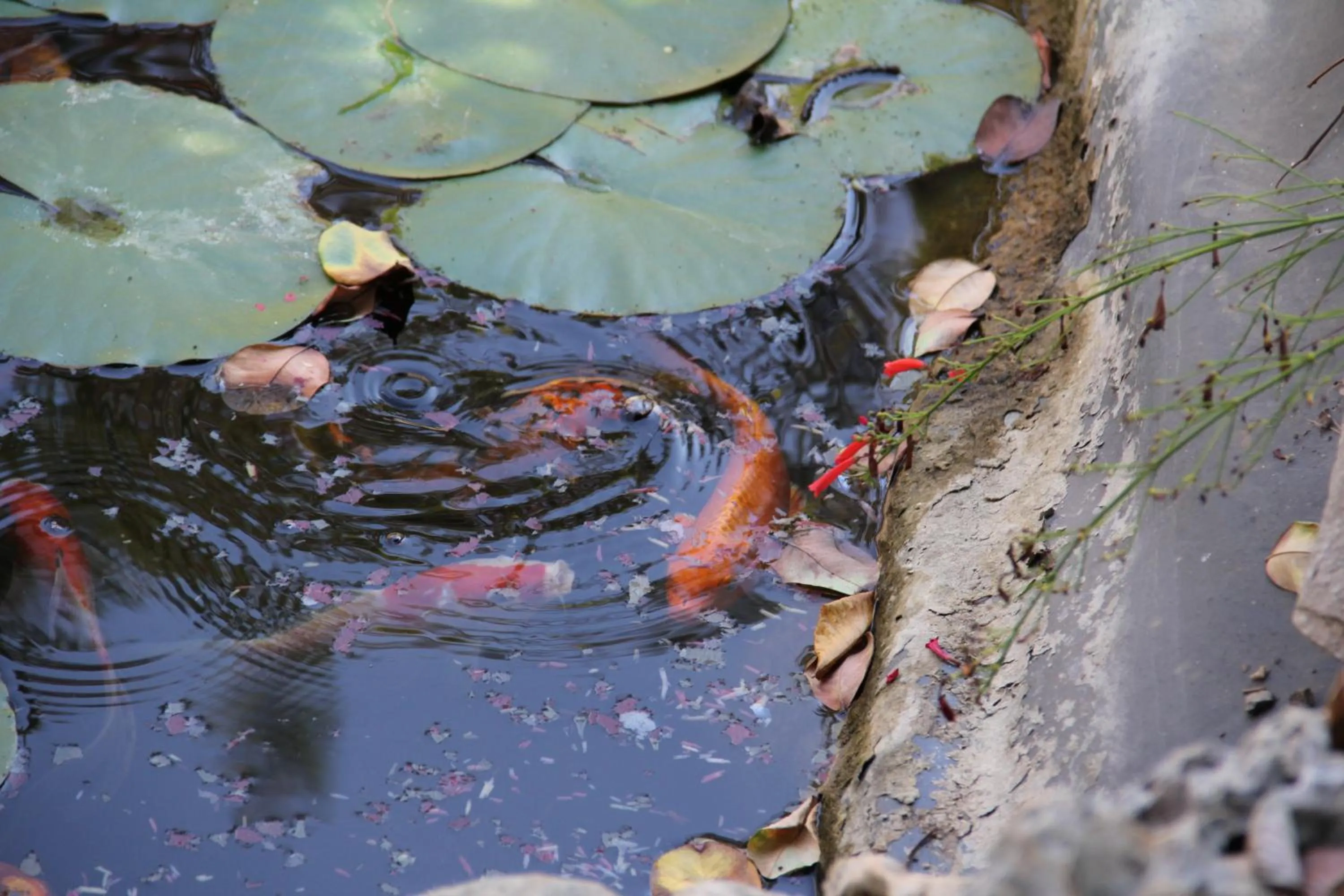 Decorative detail in B&B La Rosa Blu