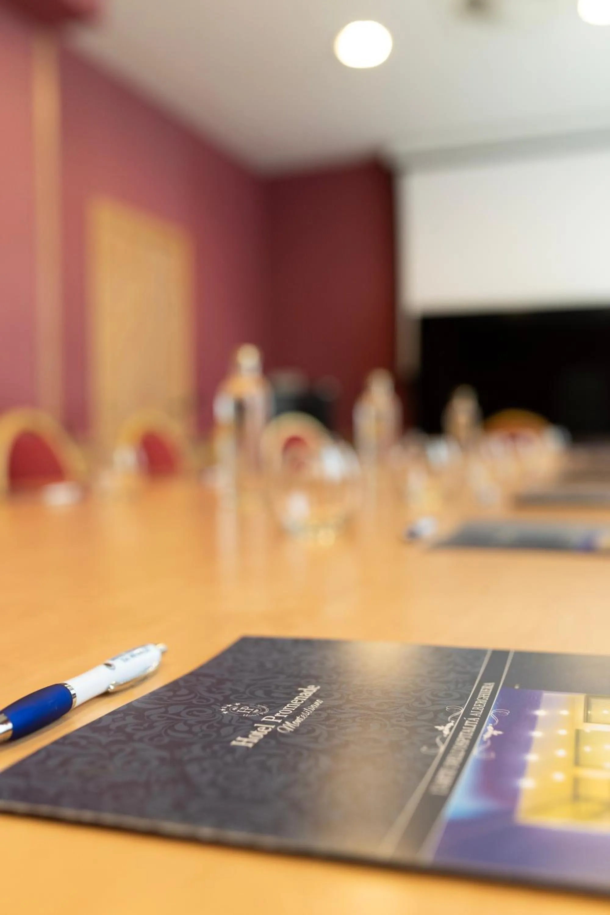 Meeting/conference room in Hotel Promenade