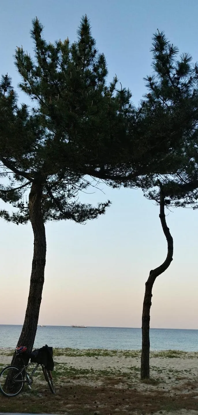 Beach in Pension Badawa