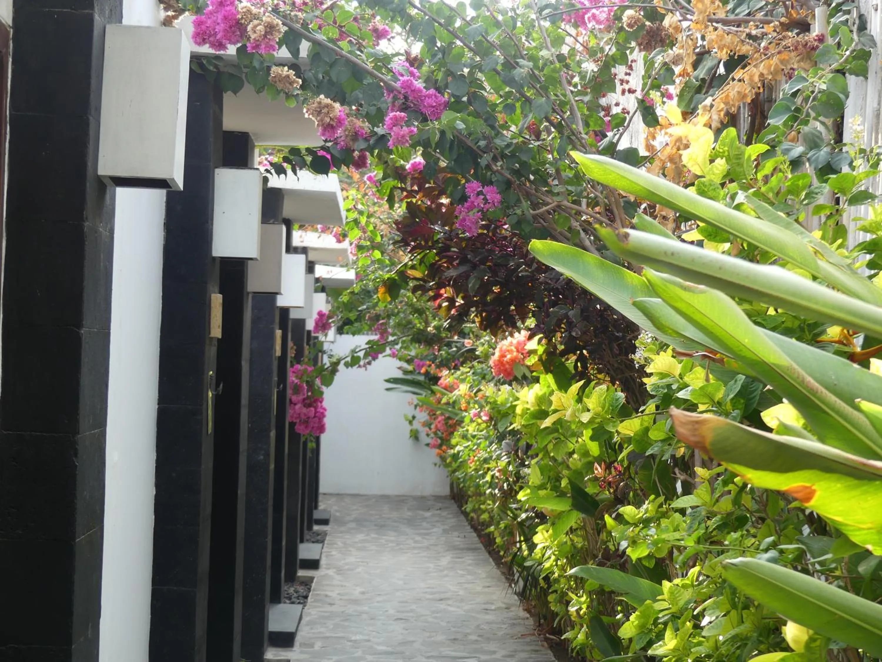 Facade/entrance in Tír na nÓg Beachfront Resort