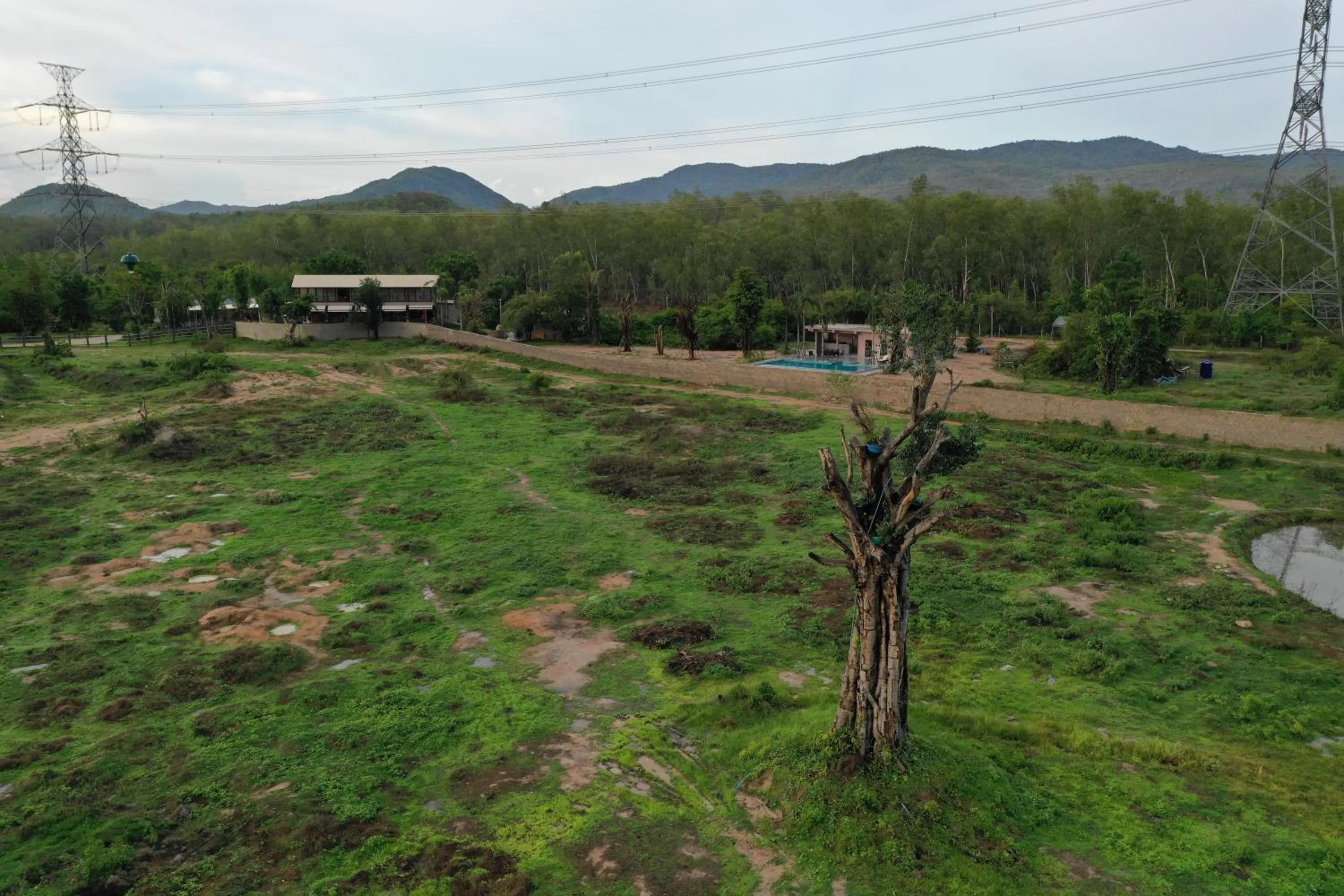 Property building in I love phants Lodge