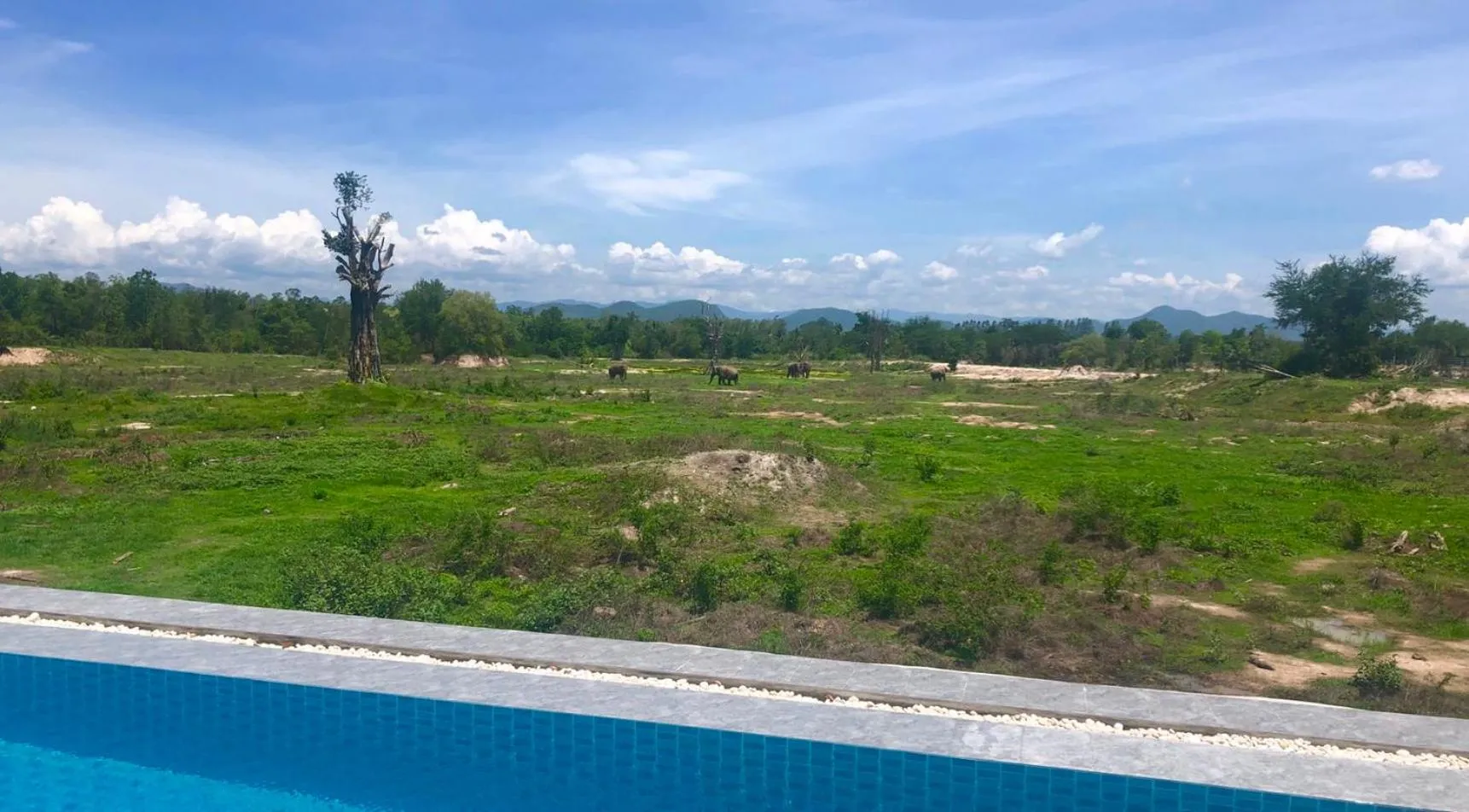 Pool view in I love phants Lodge