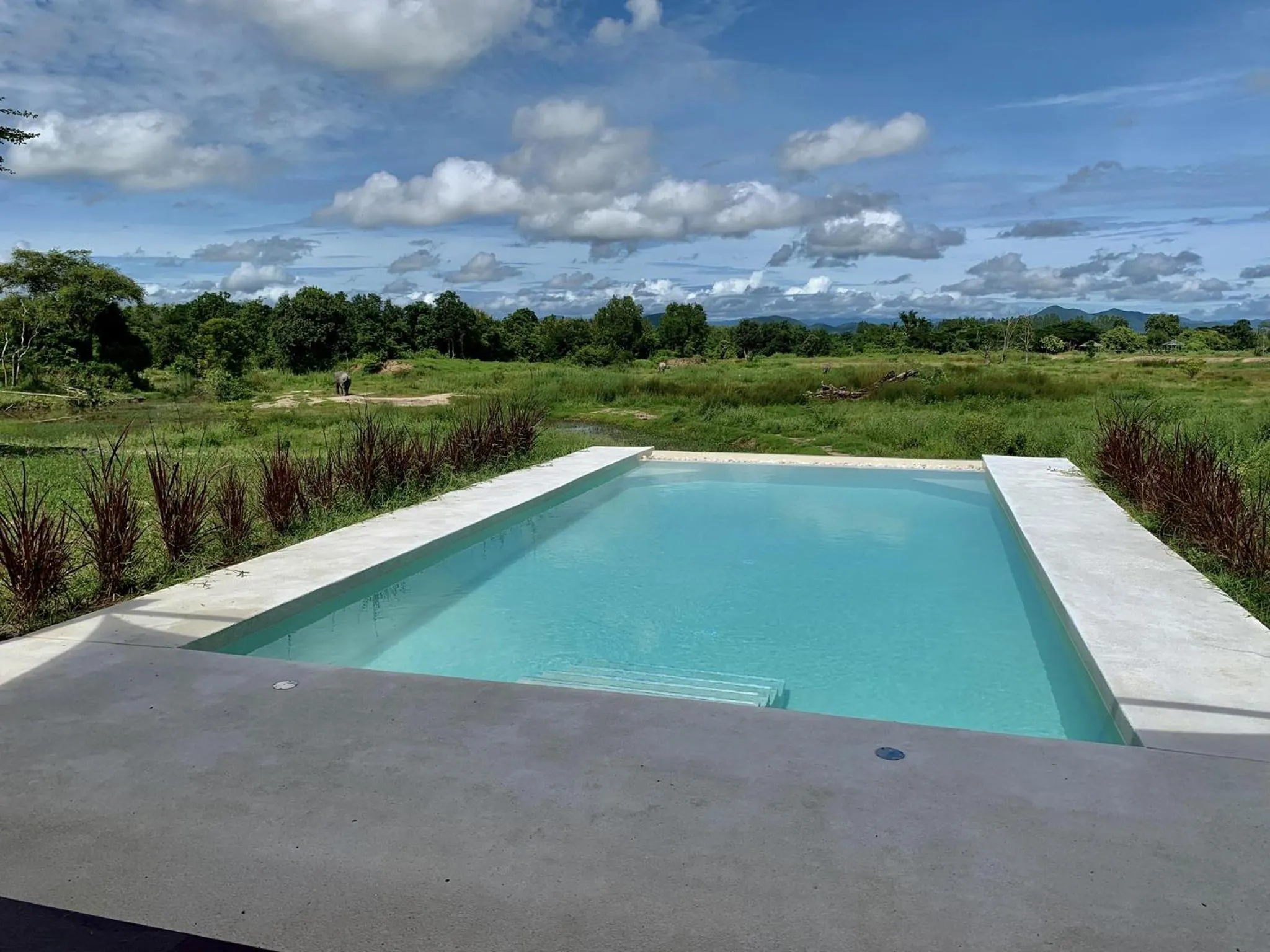 Pool view in I love phants Lodge