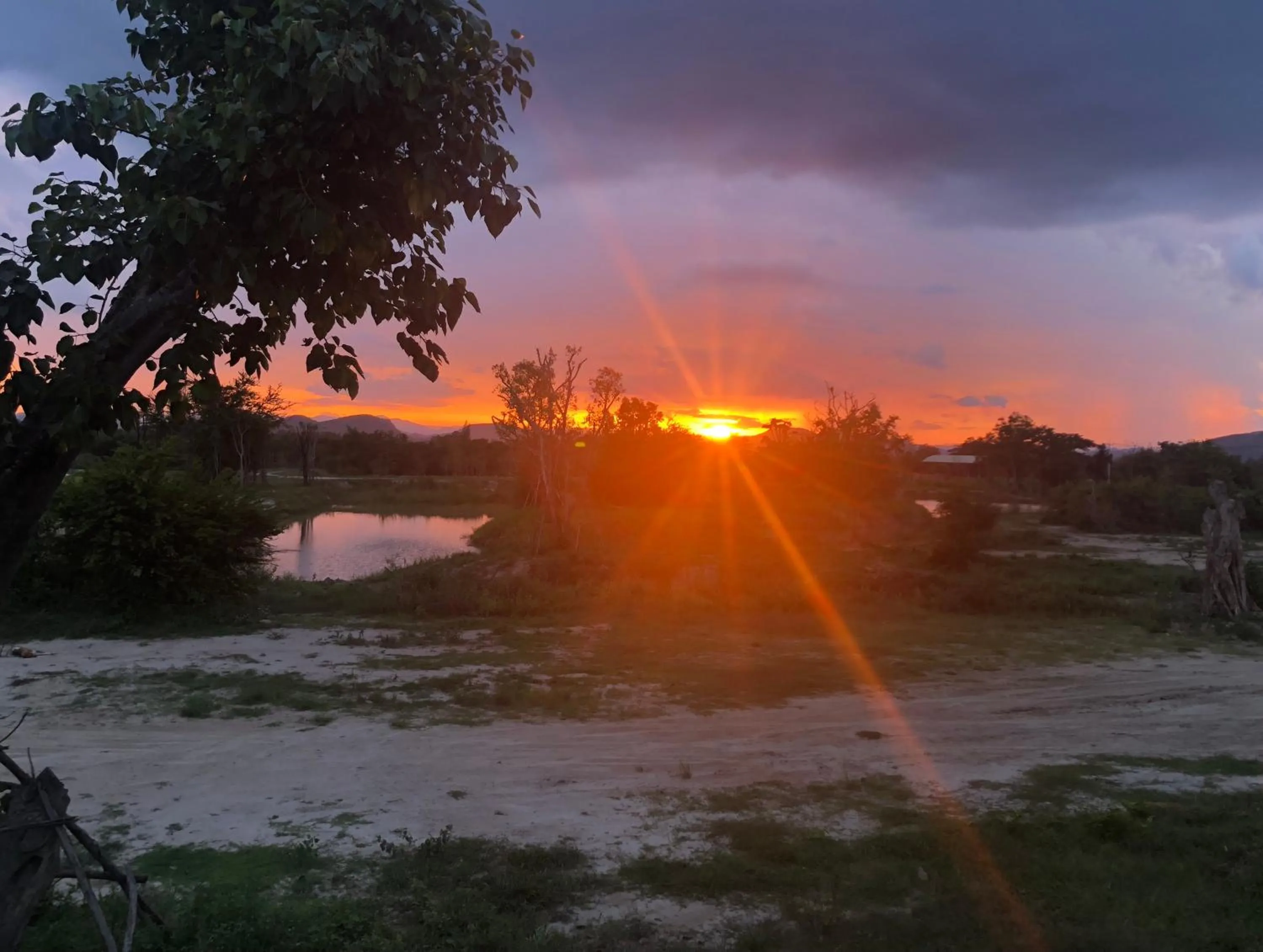 Mountain view in I love phants Lodge