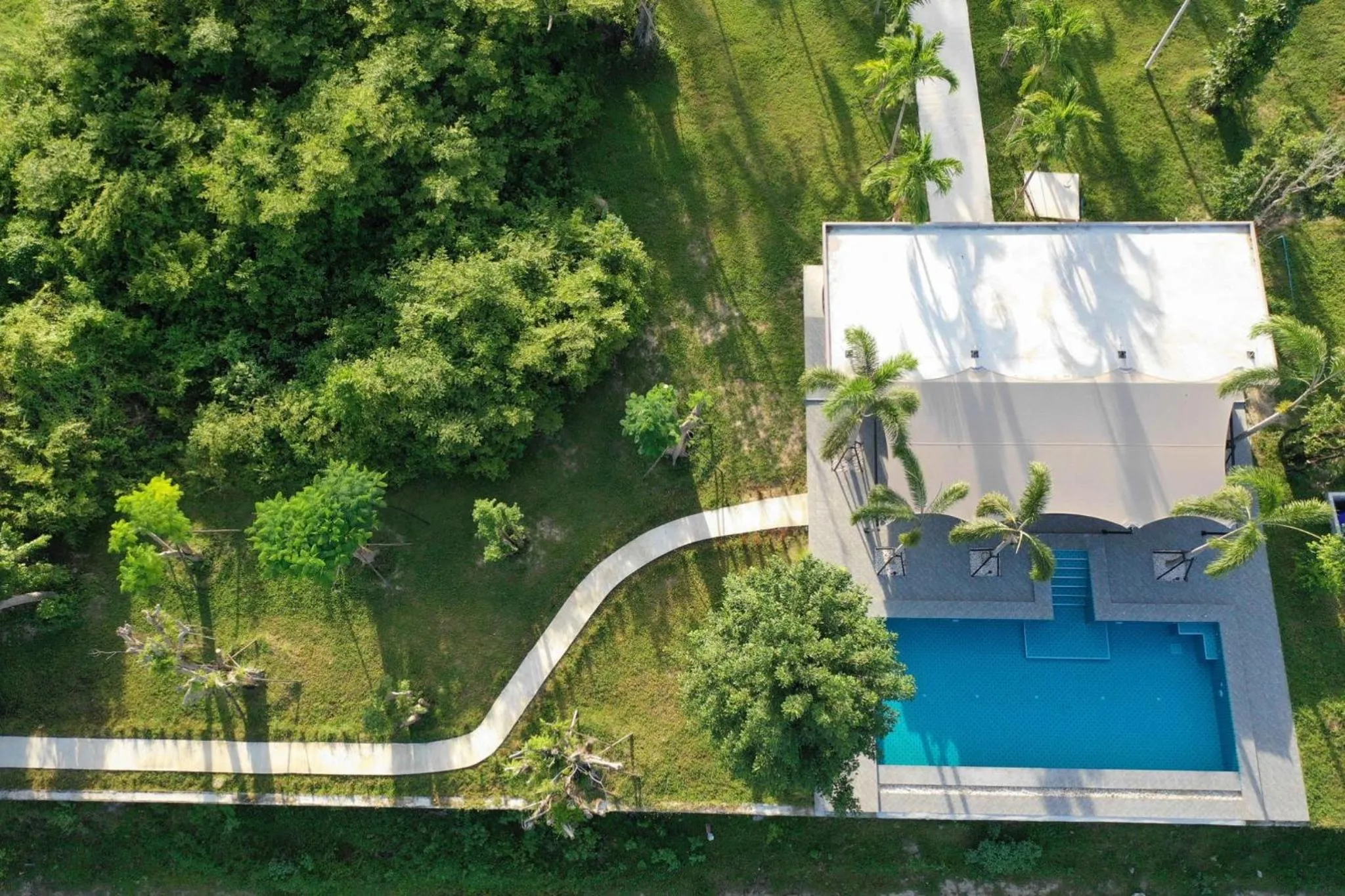 Pool view in I love phants Lodge