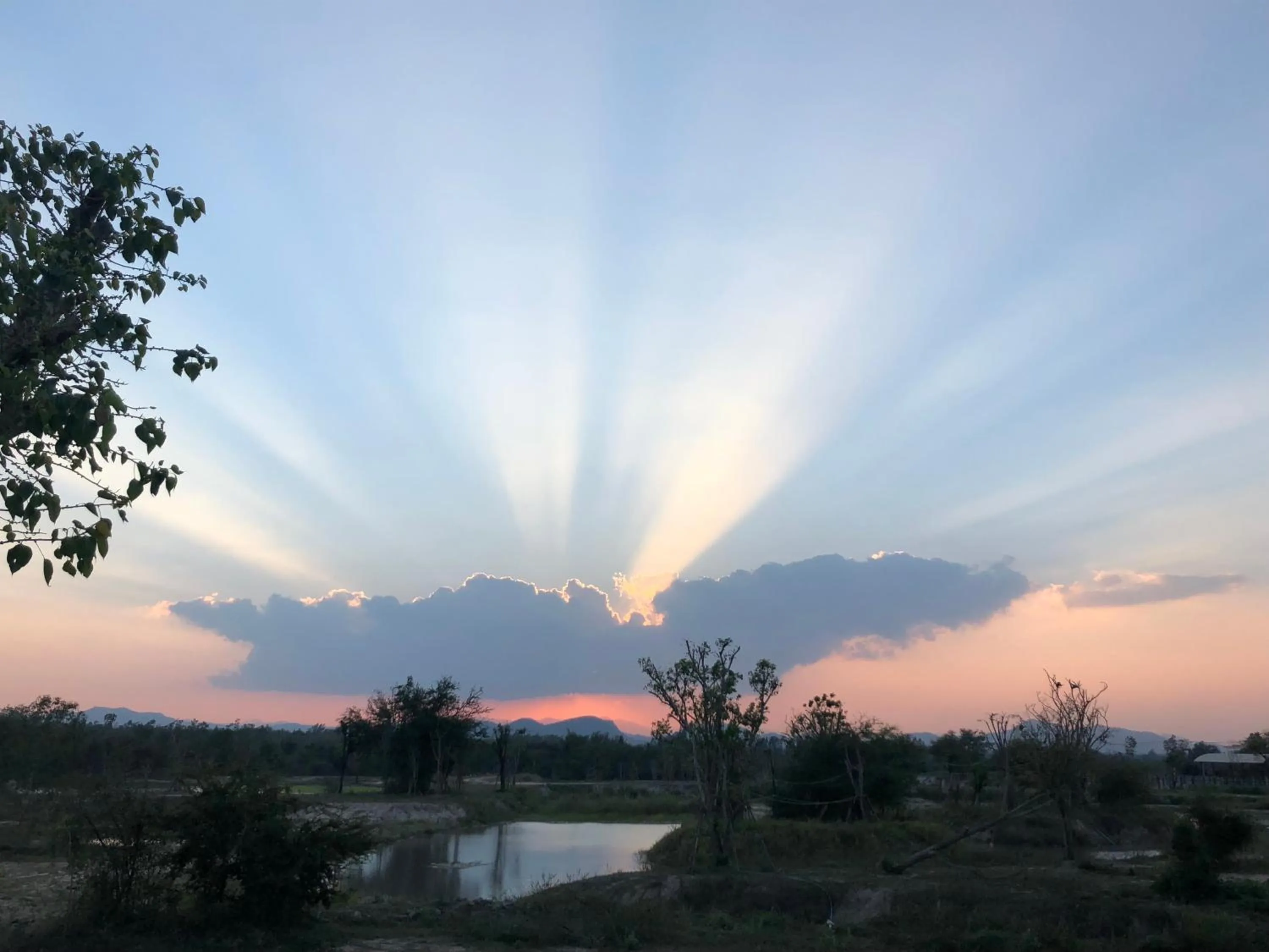 Natural landscape in I love phants Lodge