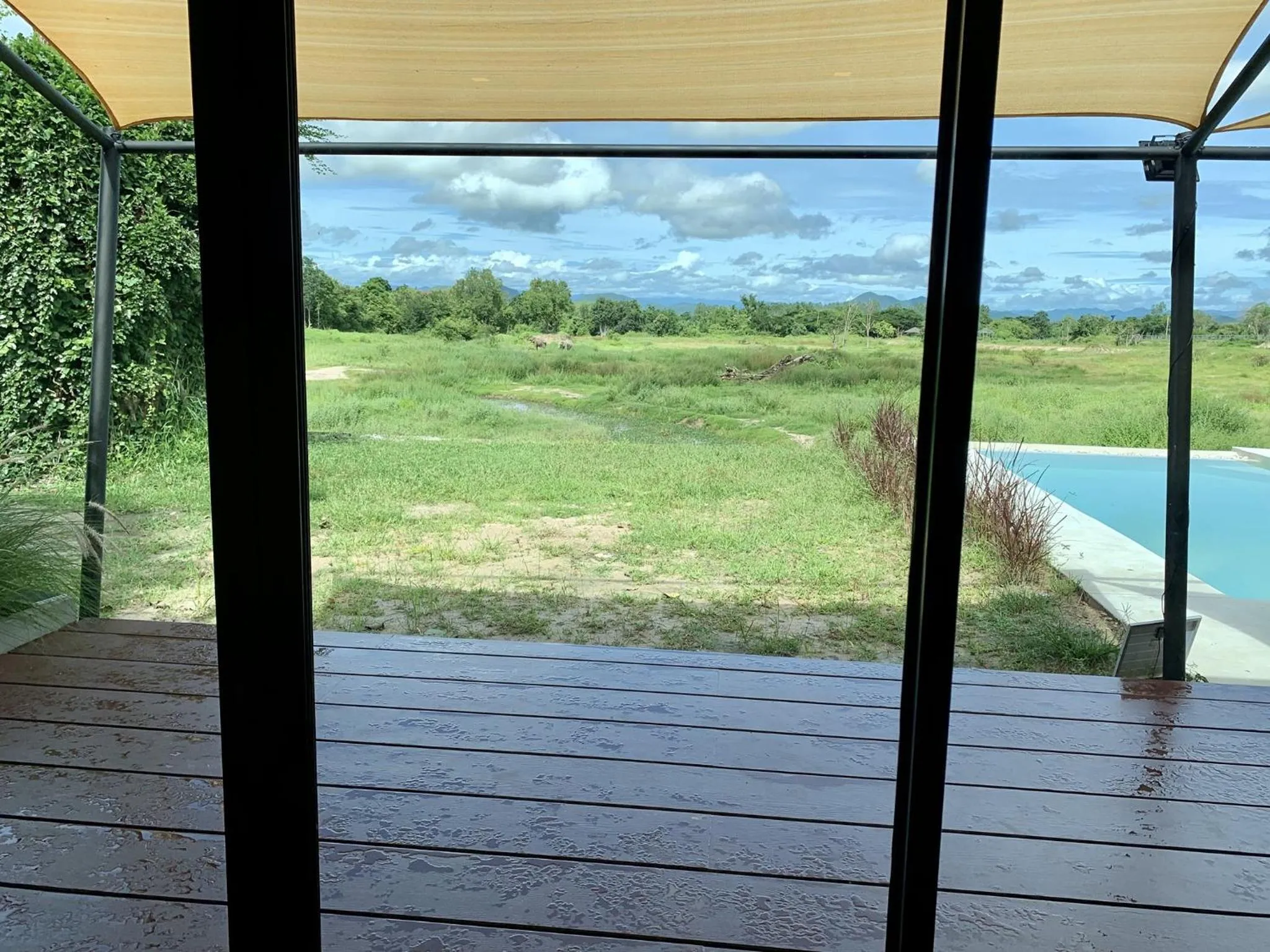 Garden view in I love phants Lodge