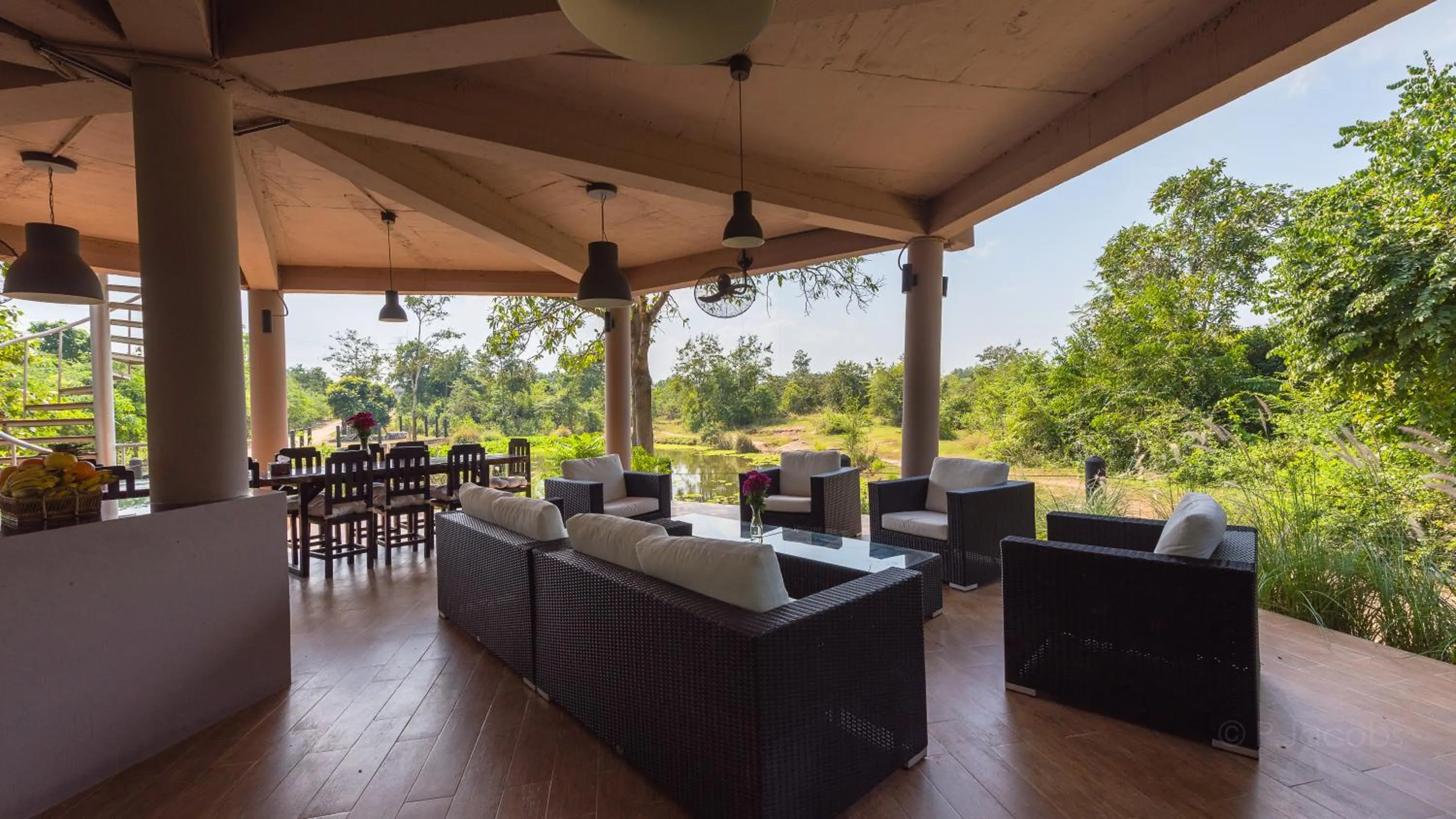 Lounge or bar in I love phants Lodge