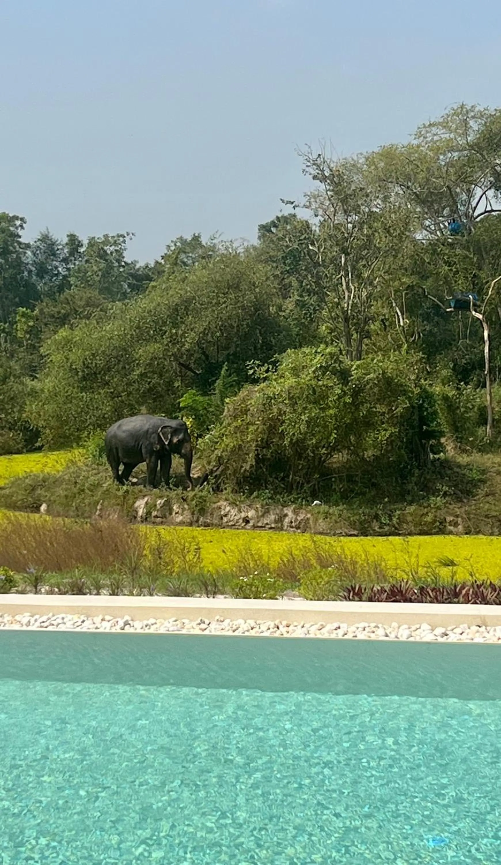 Natural landscape in I love phants Lodge
